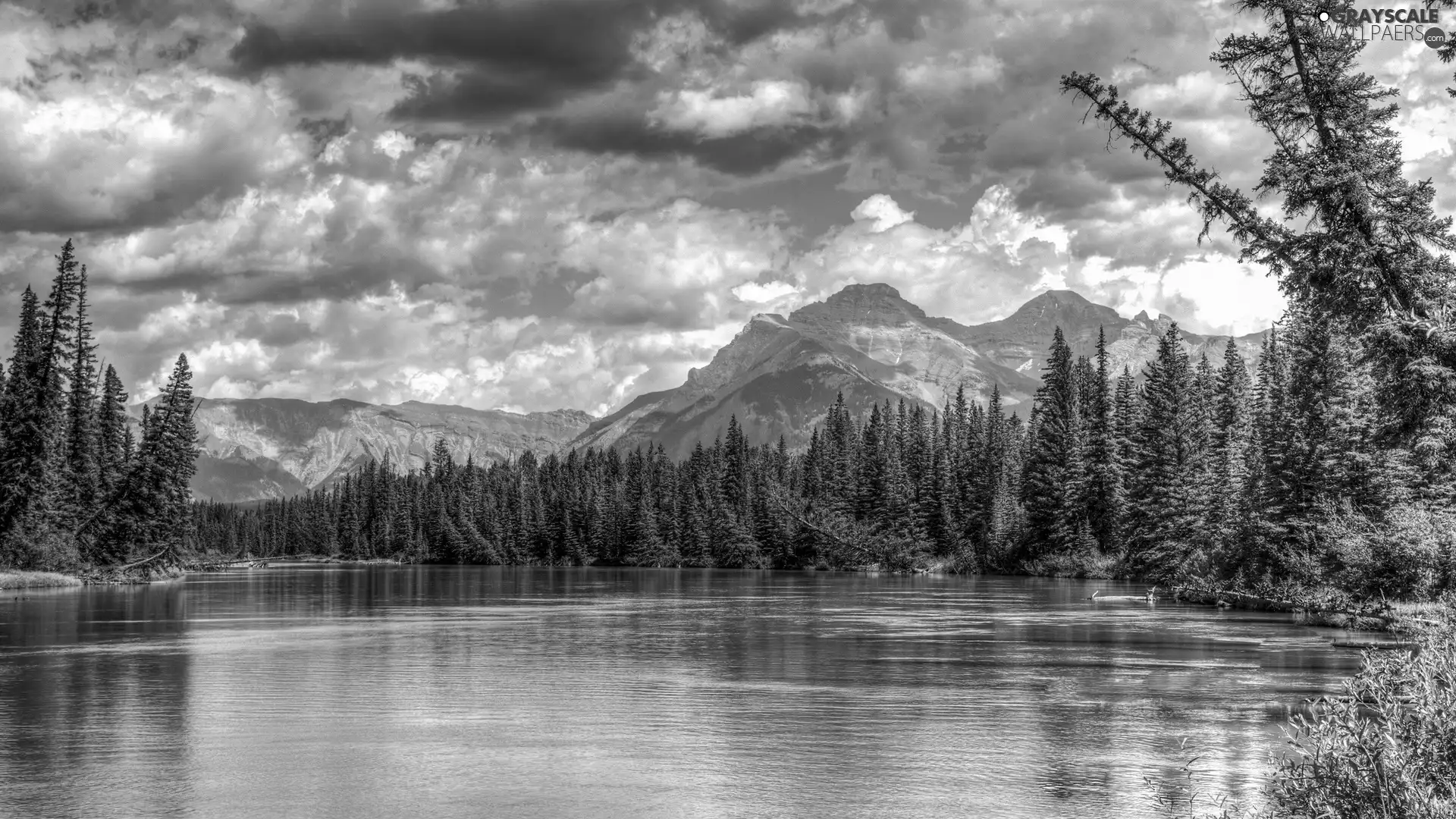 forest, Mountains, River