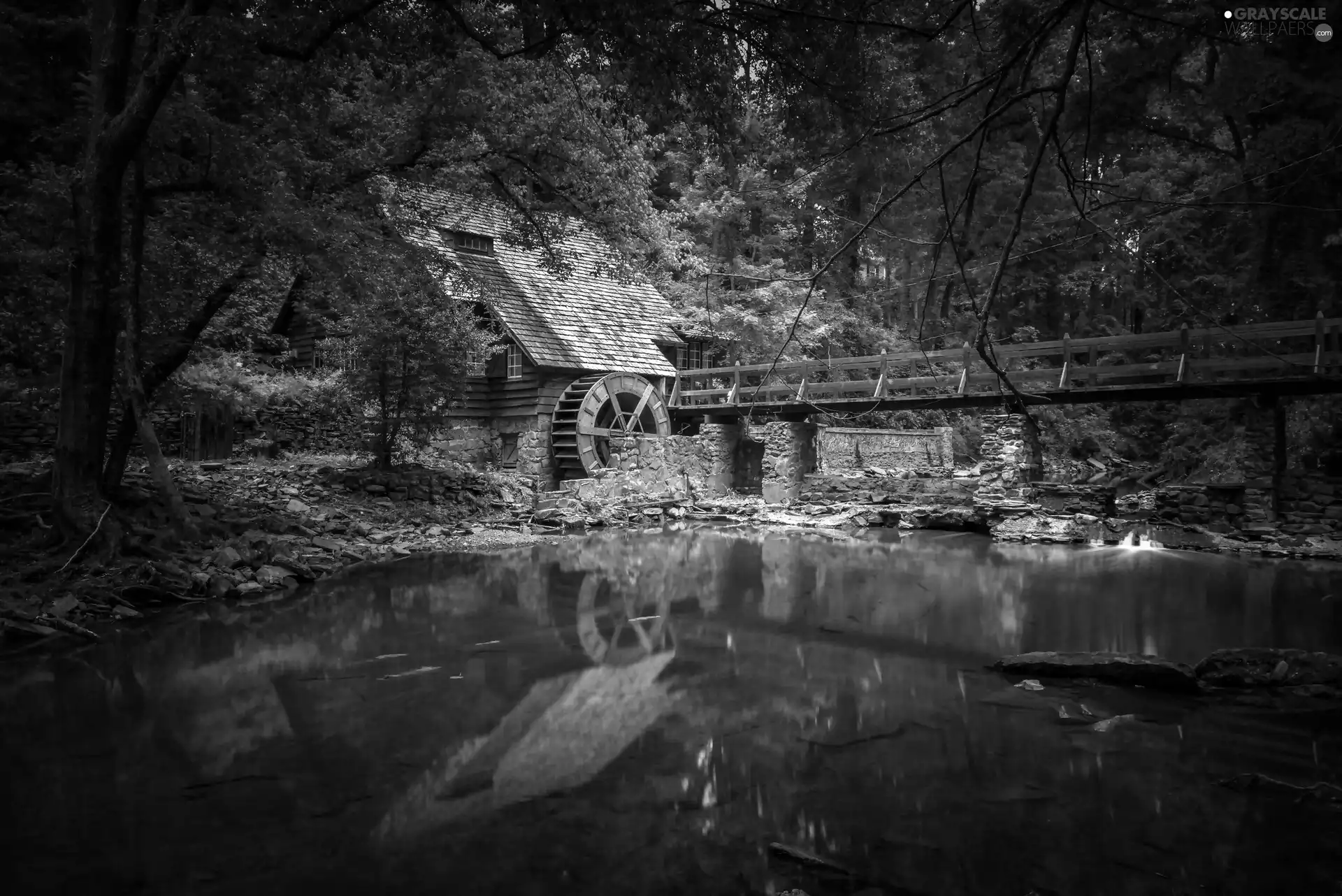 forest, River, Windmill, bridge, Old car