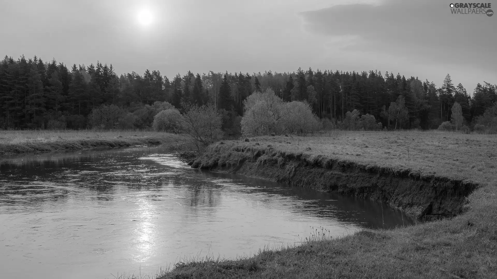 viewes, Great Sunsets, forest, trees, River