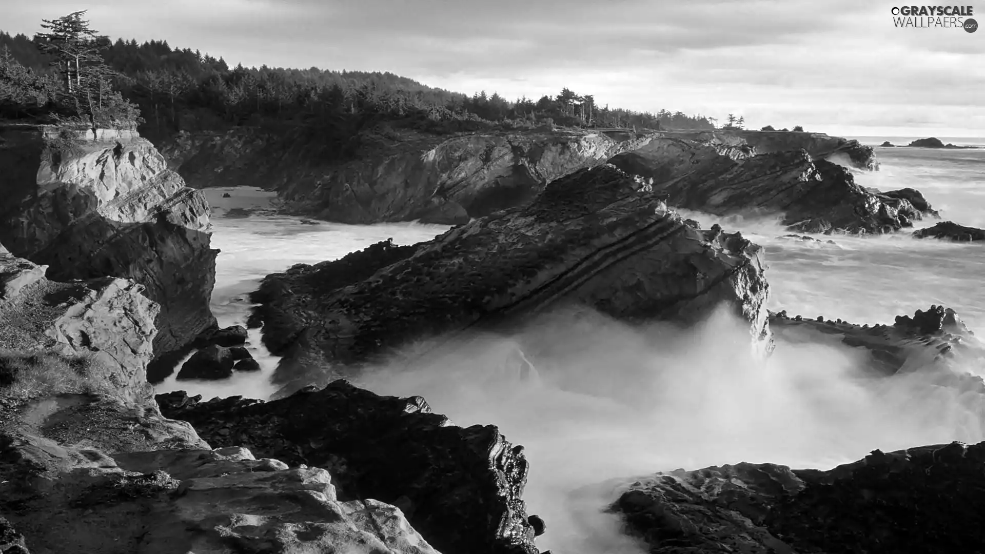 sea, Oregon, forest, rocks, Coast, dawn