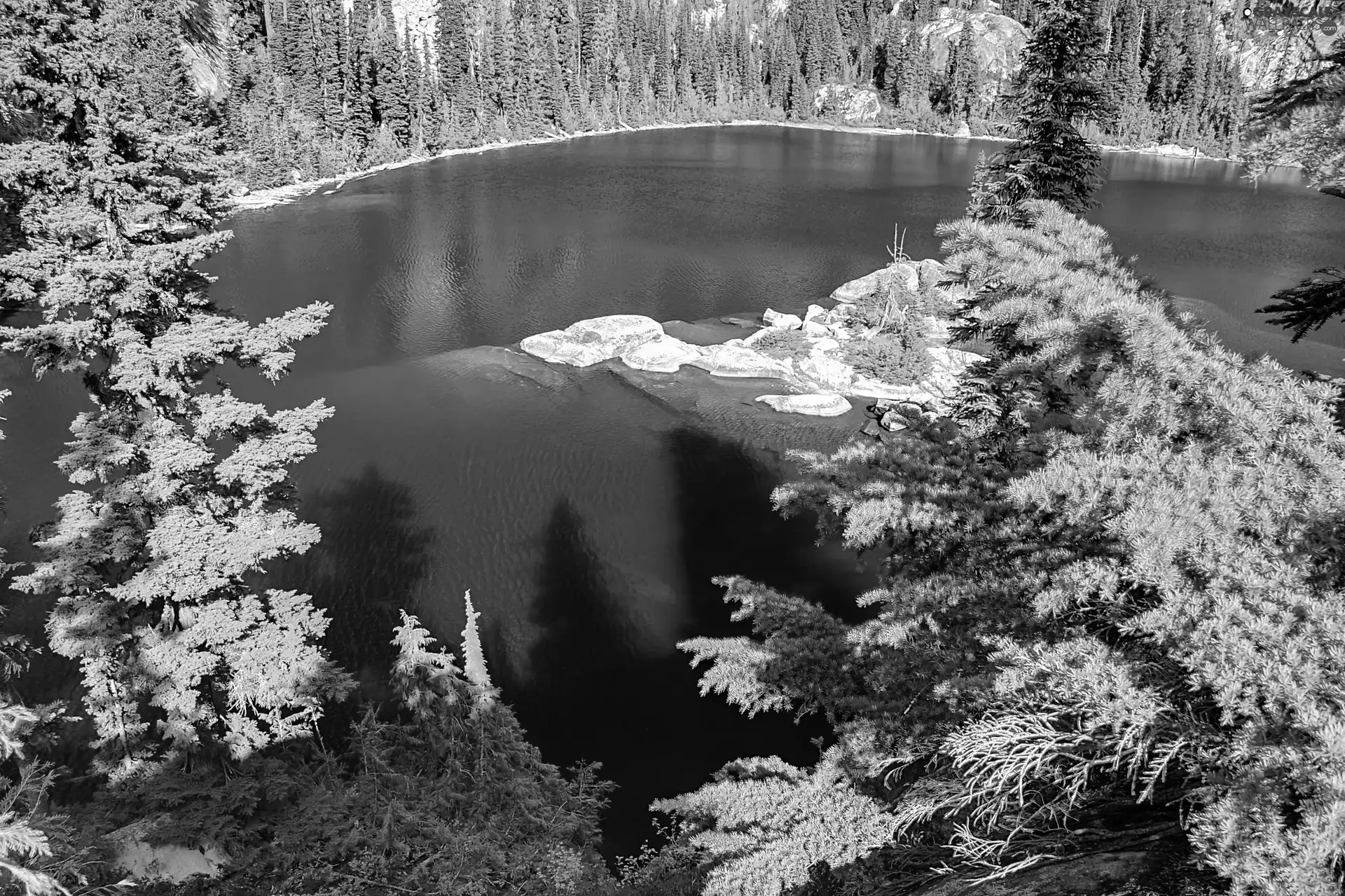 forest, lake, rocks
