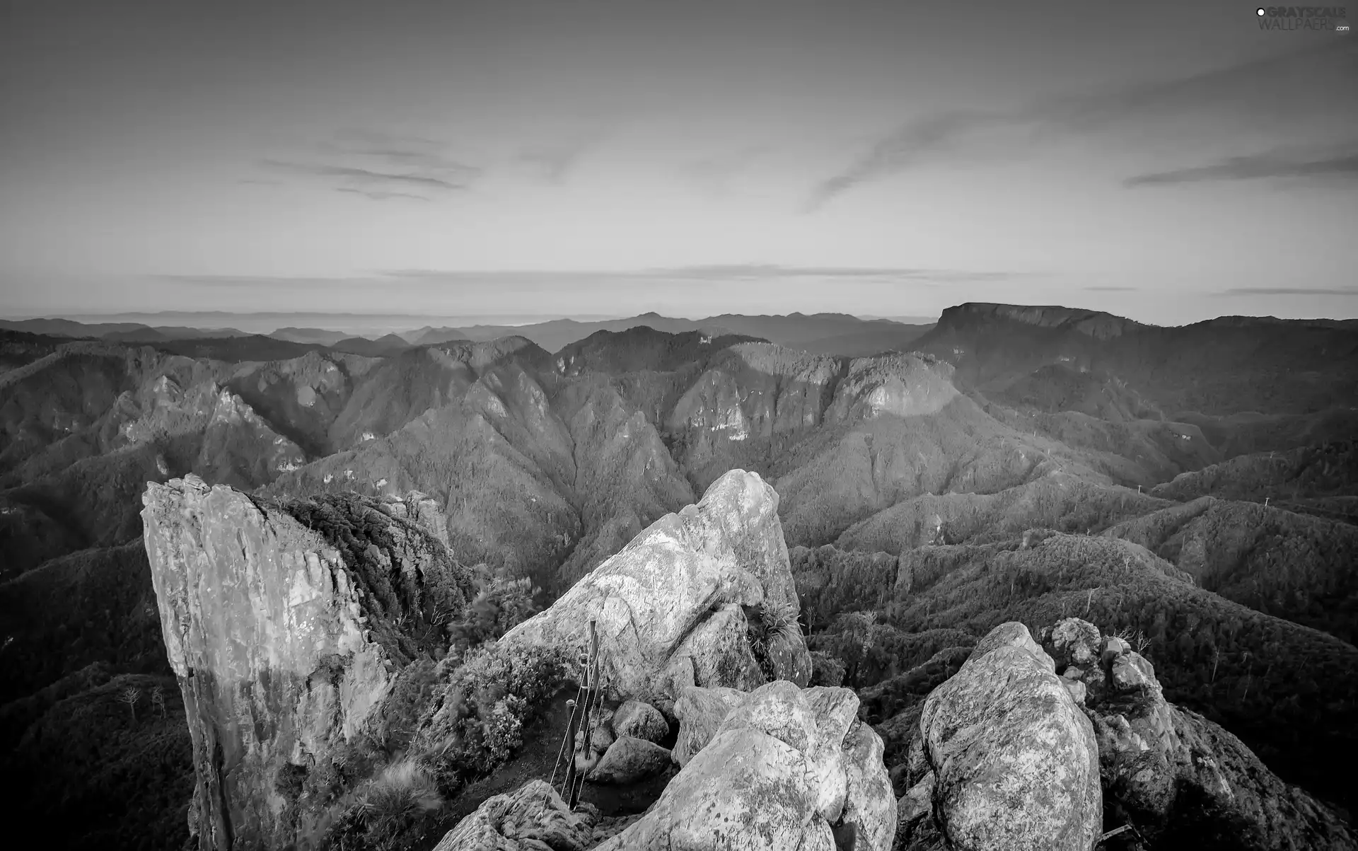 forest, Mountains, rocks