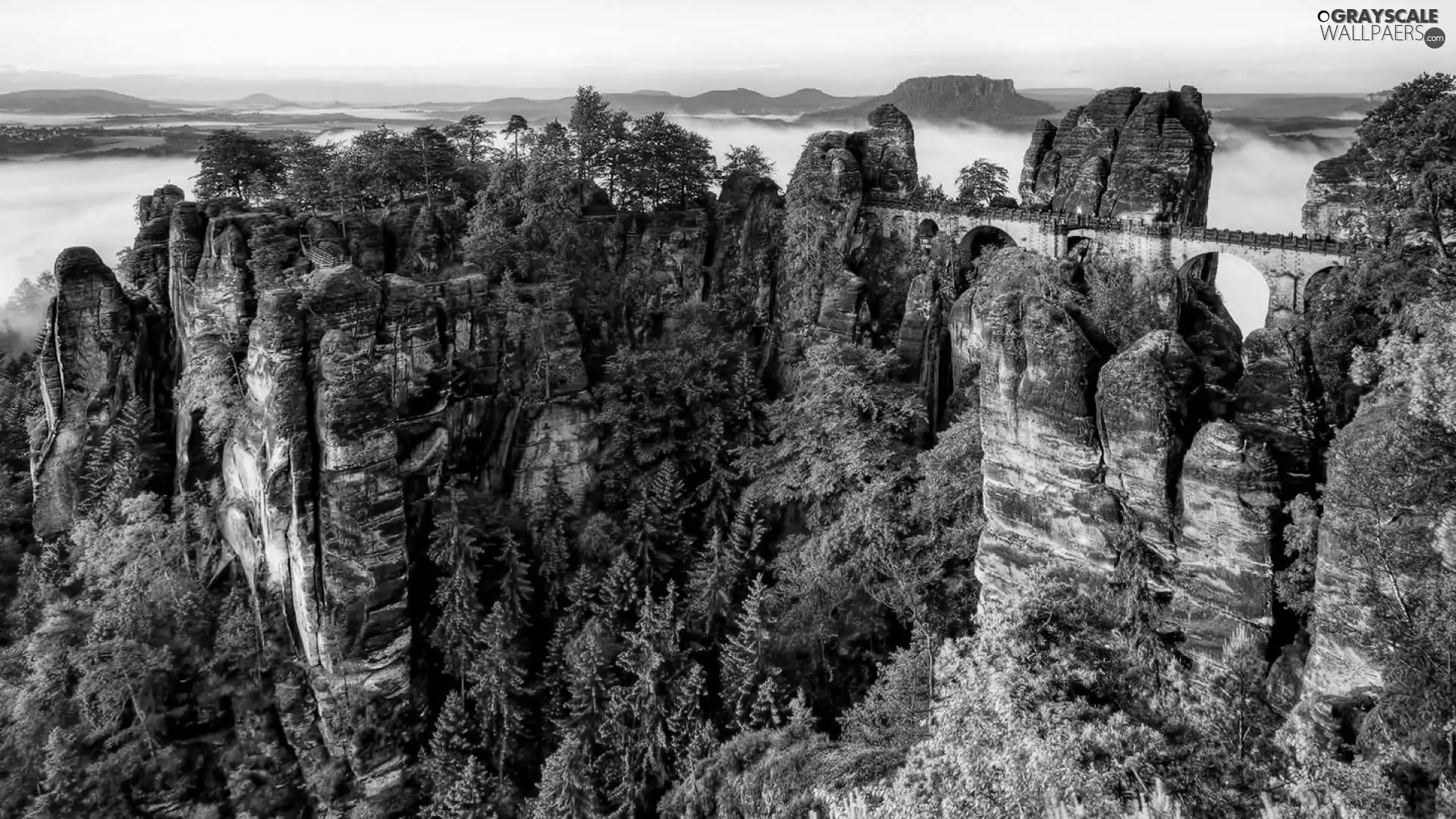 forest, Mountains, rocks