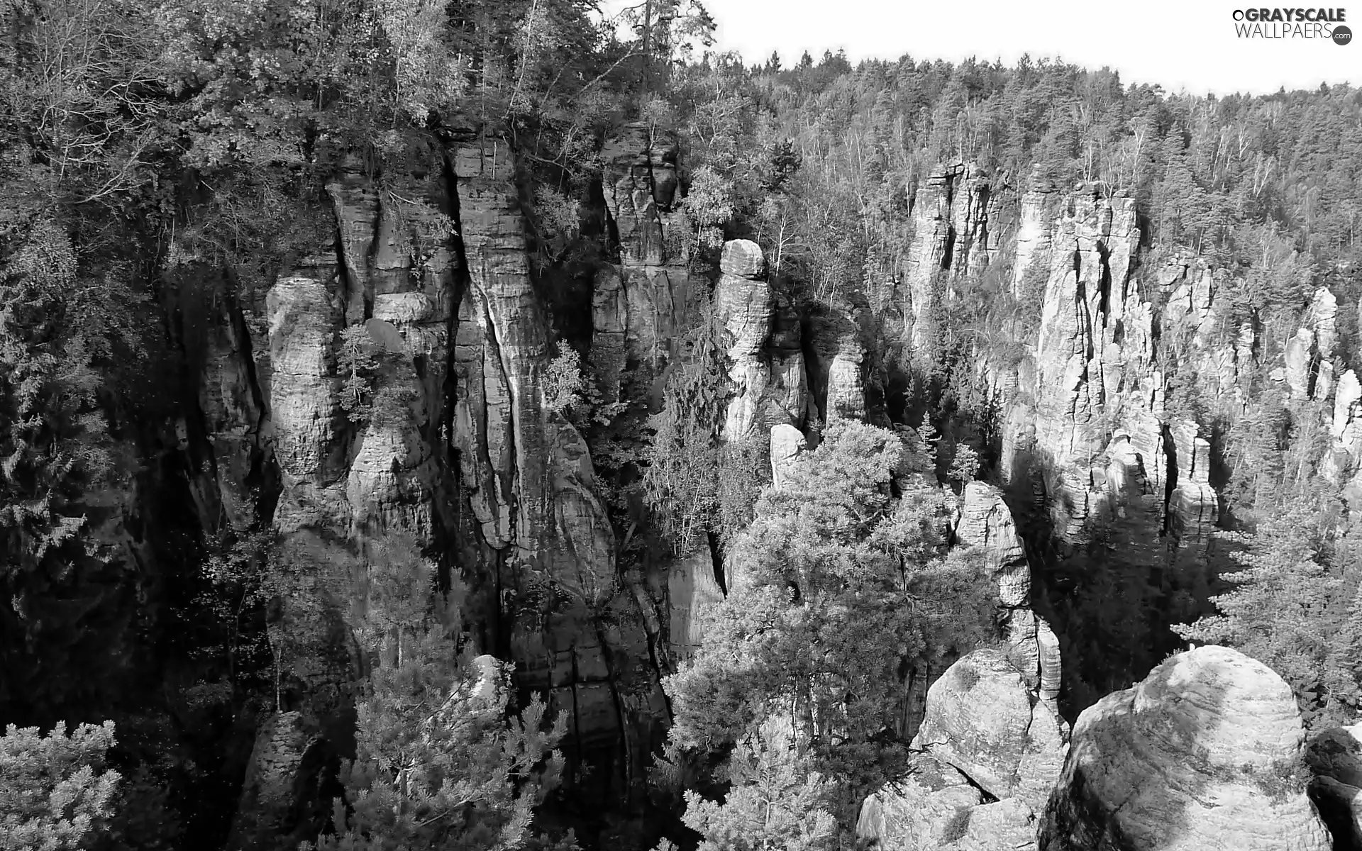 Park, Switzerland, forest, rocks, national, Saxon