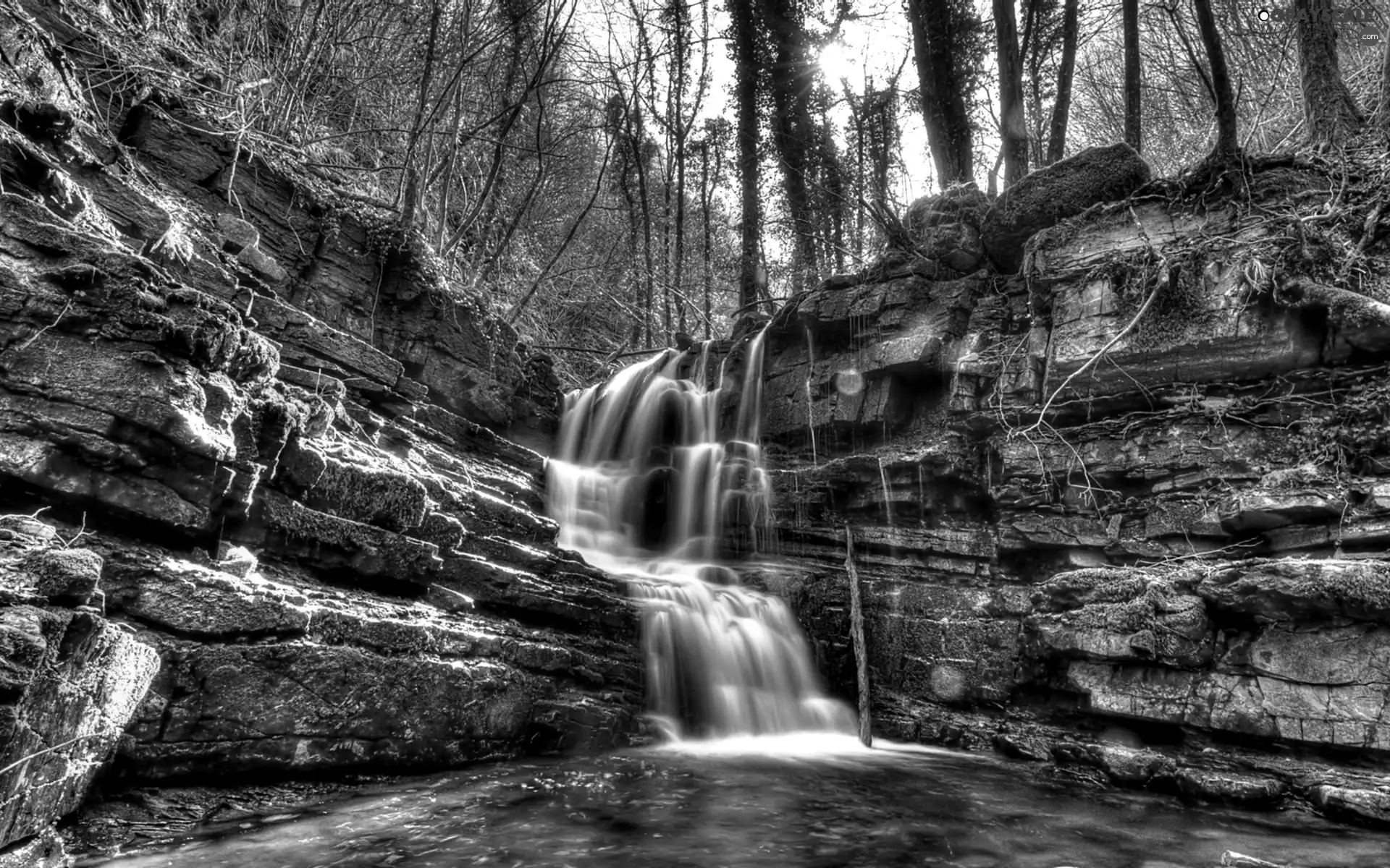 forest, waterfall, rocks