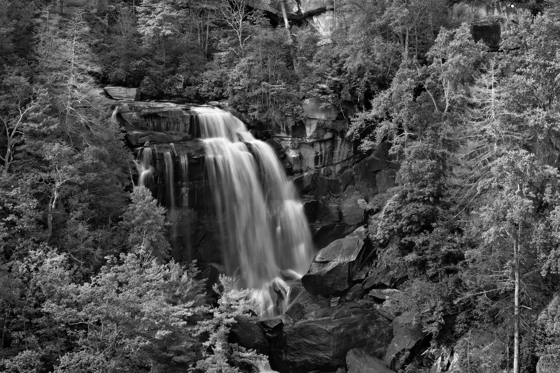 forest, waterfall, rocks