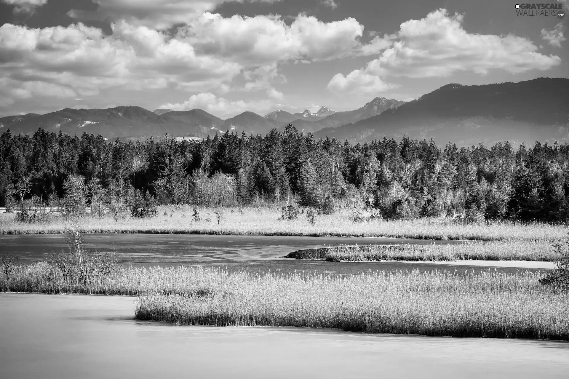 Mountains, trees, Sky, viewes, clouds, Cane, lake, forest