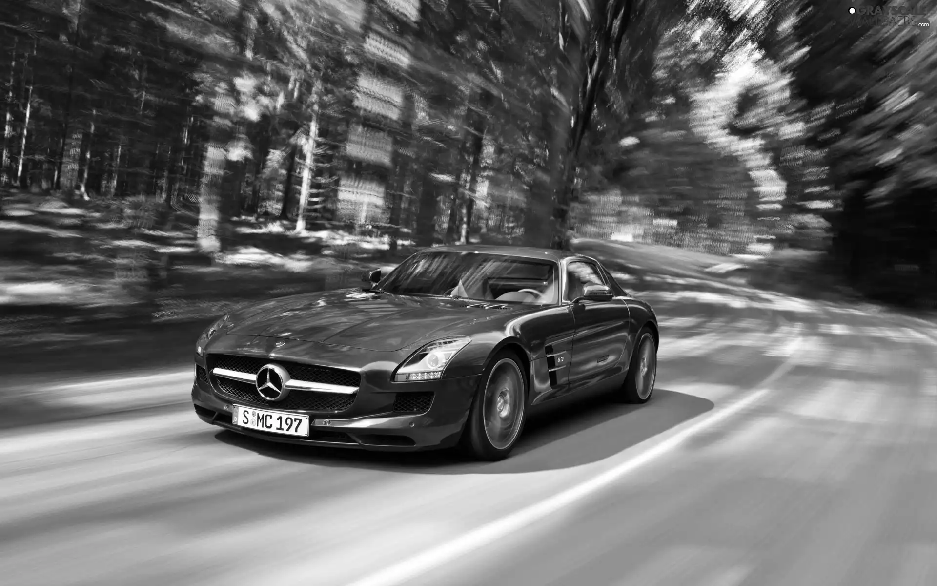 Mercedes SLS, Way, forest