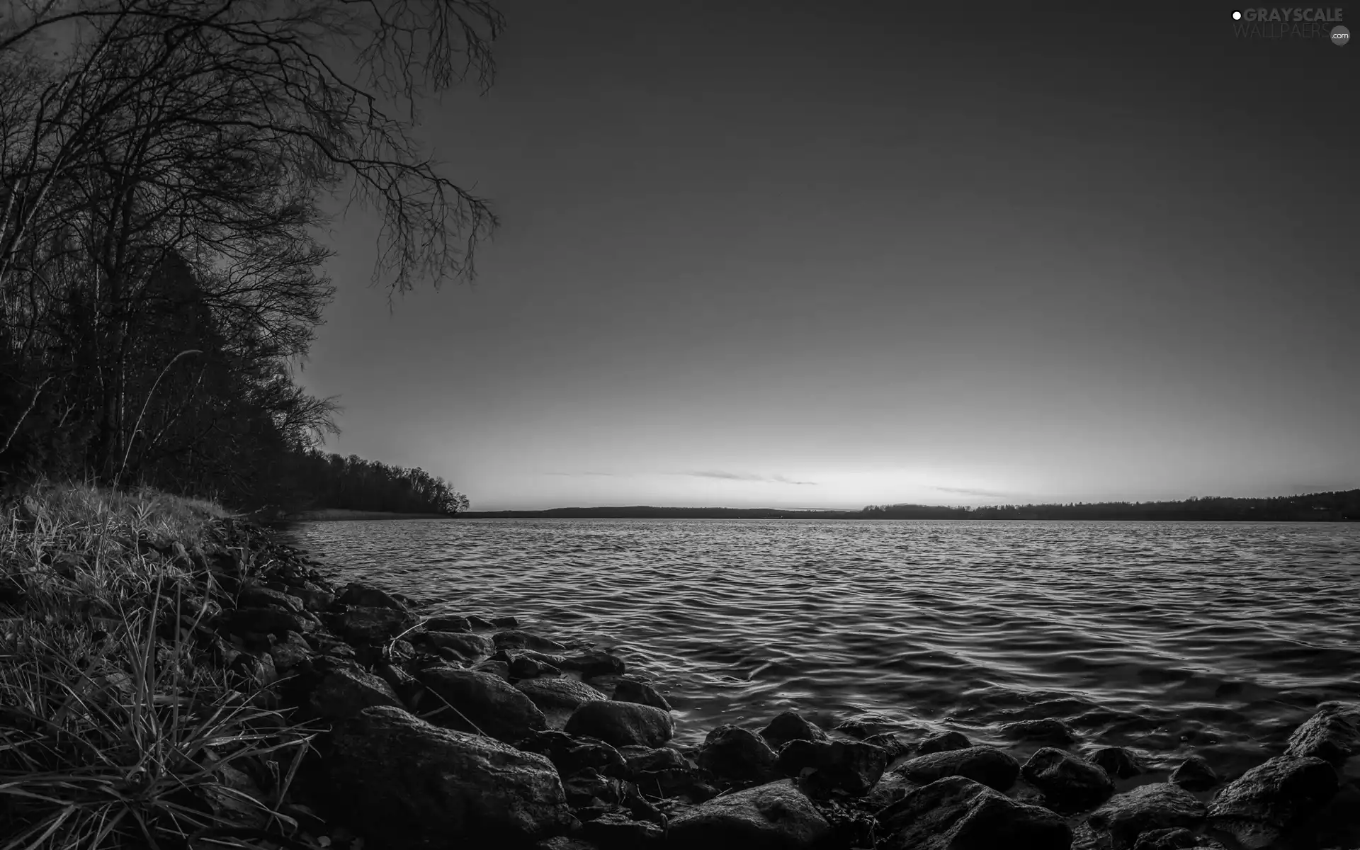 forest, Stones, sun, lake, east