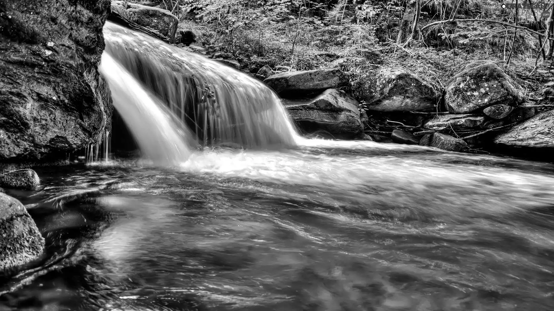forest, waterfall, Stones