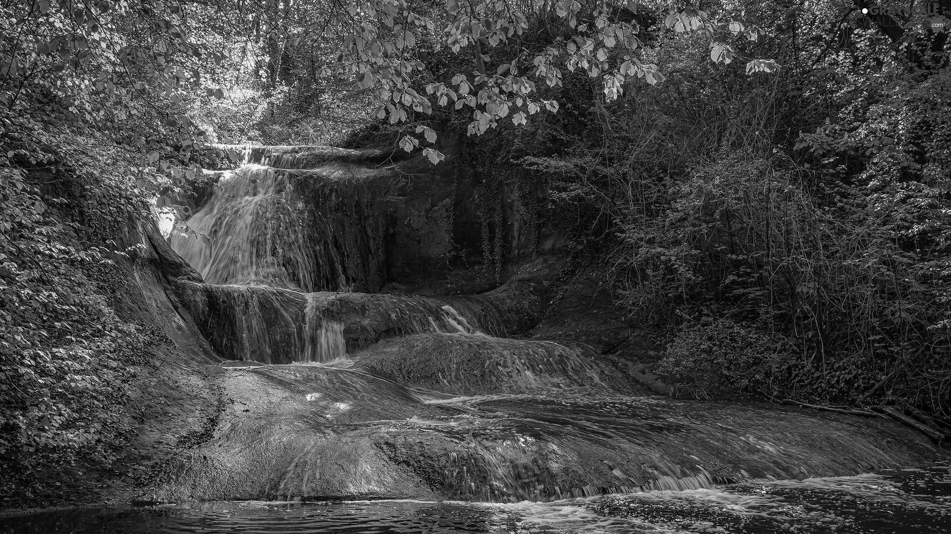 summer, rocks, River, forest