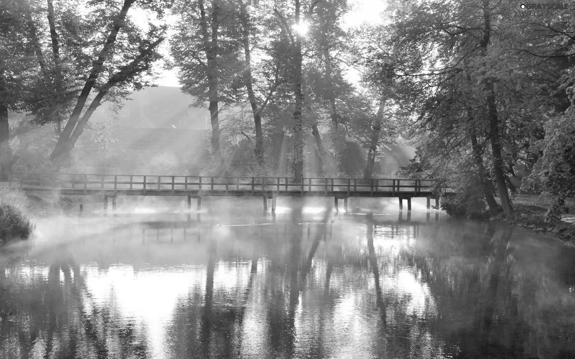 bridge, River, forest, Przebijające, luminosity, autumn, sun, flash, ligh