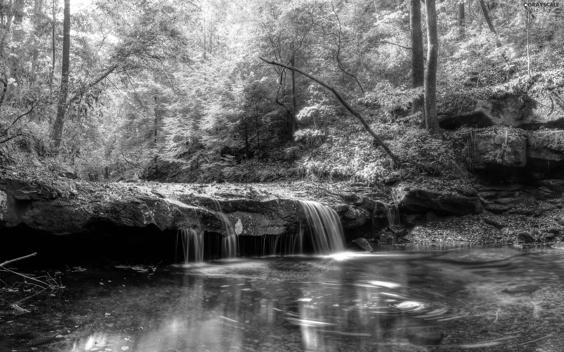 rocks, waterfall, forest, Przebijające, luminosity, autumn, sun, flash, ligh