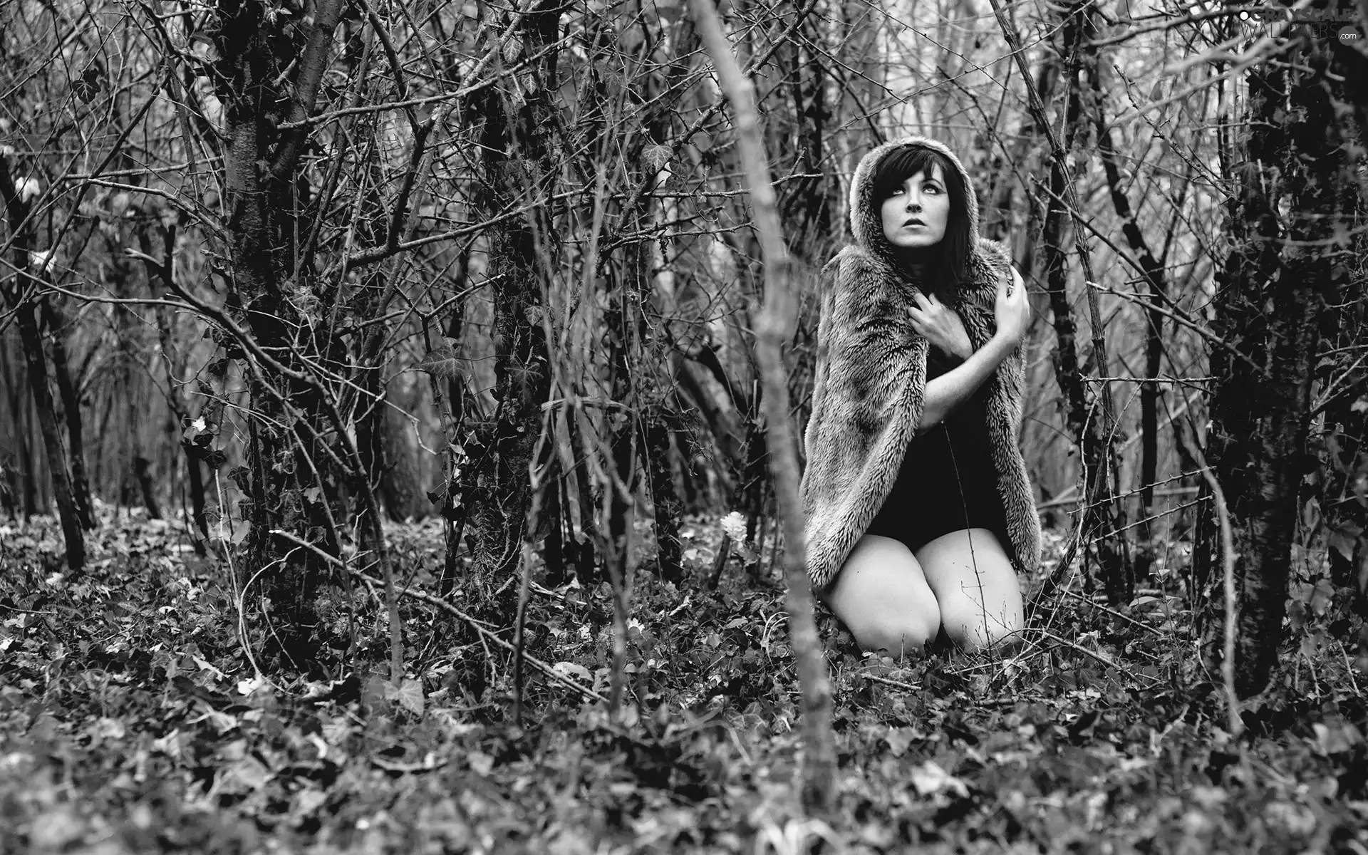 Terrified, Fur, forest, Women