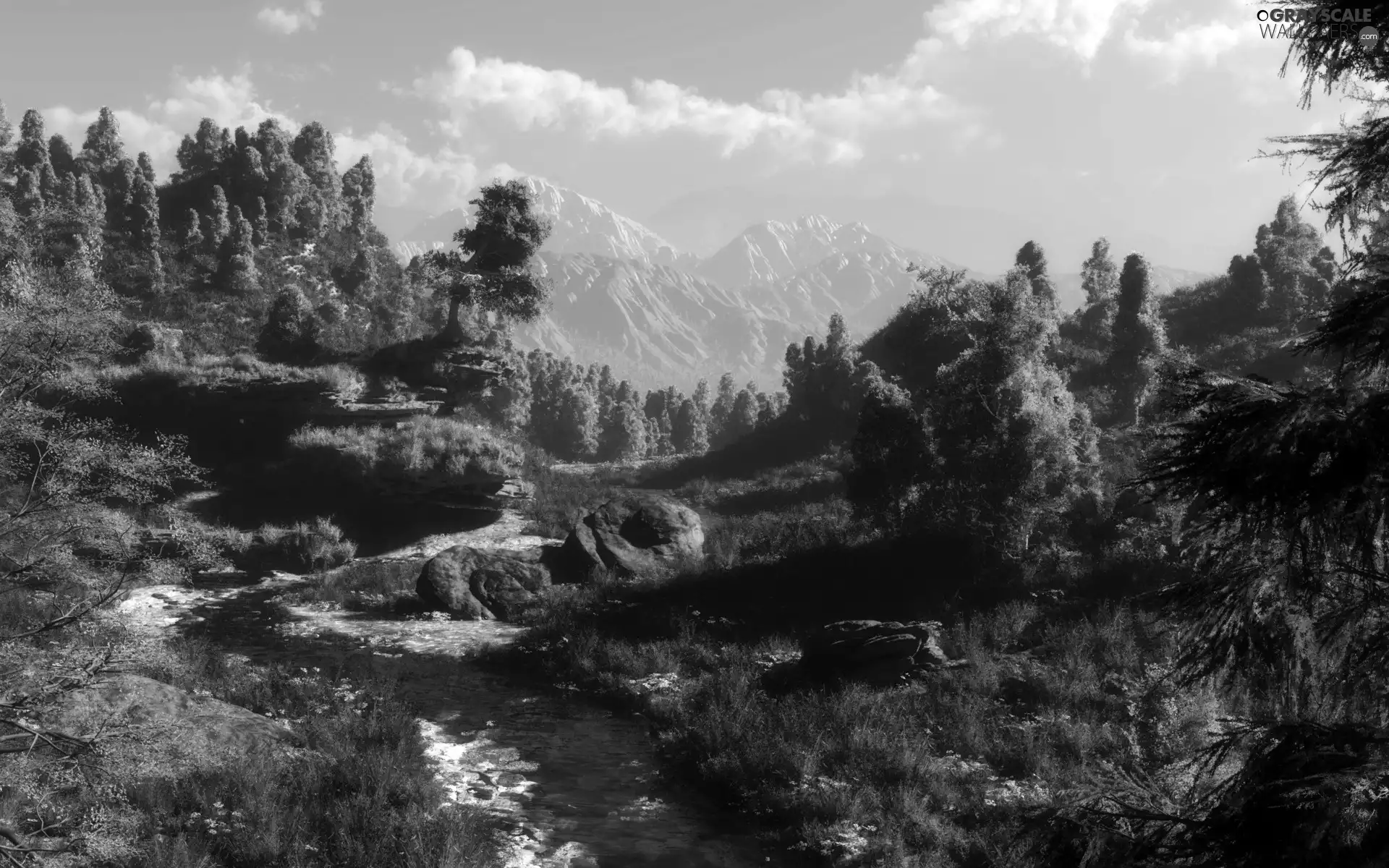 forest, Mountains, trail