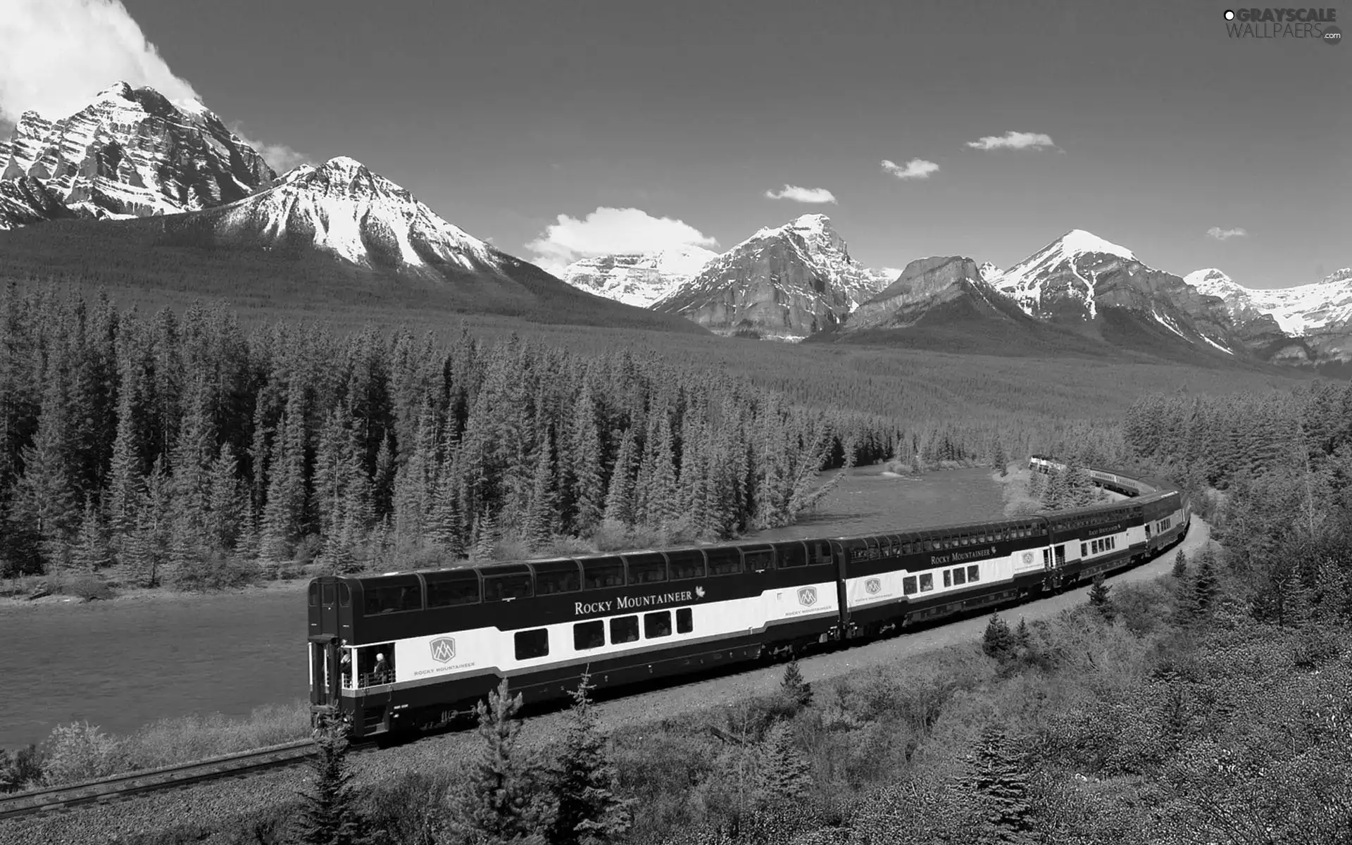 Train, Mountains, forest, Express