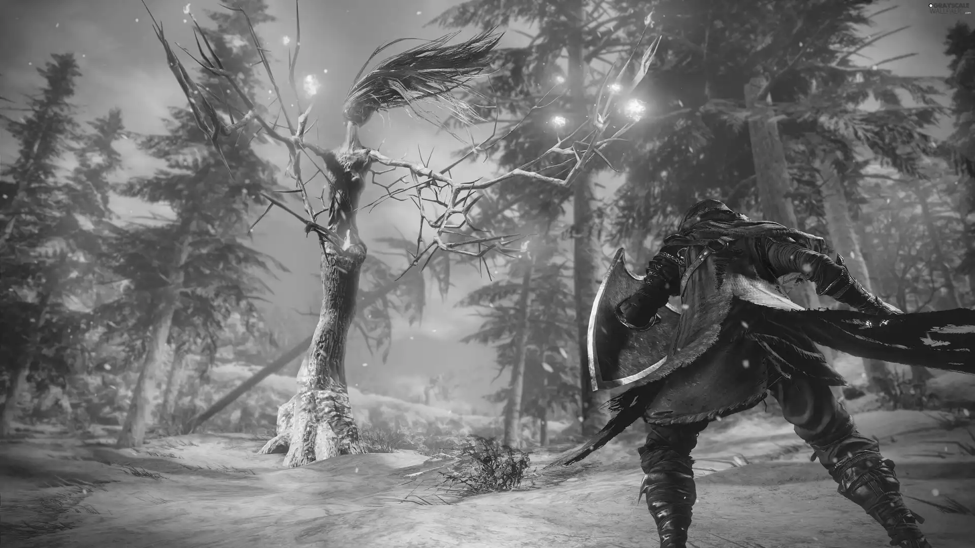 forest, Night, Dark Souls 3, winter, game, viewes, trees, form