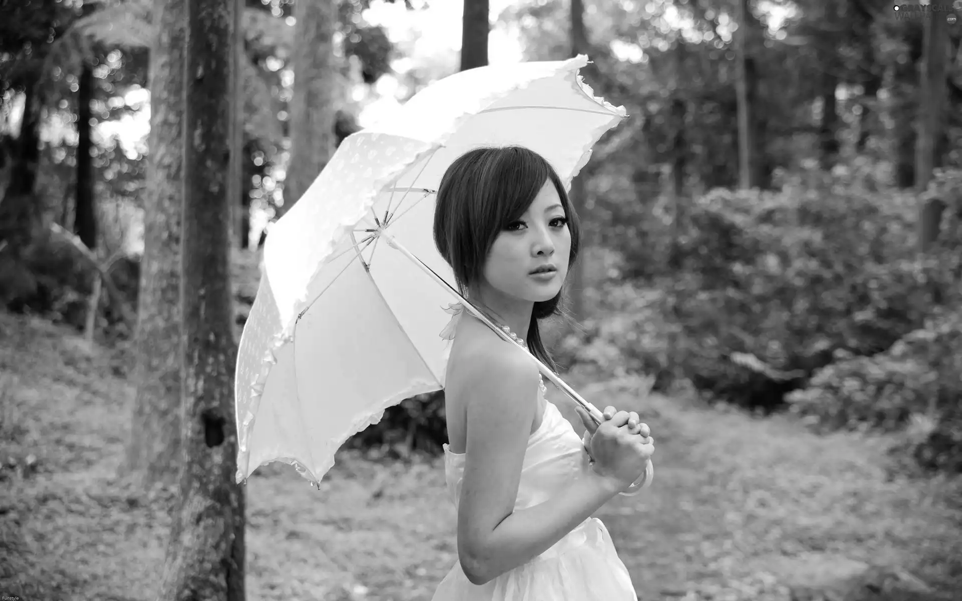forest, Women, Umbrella