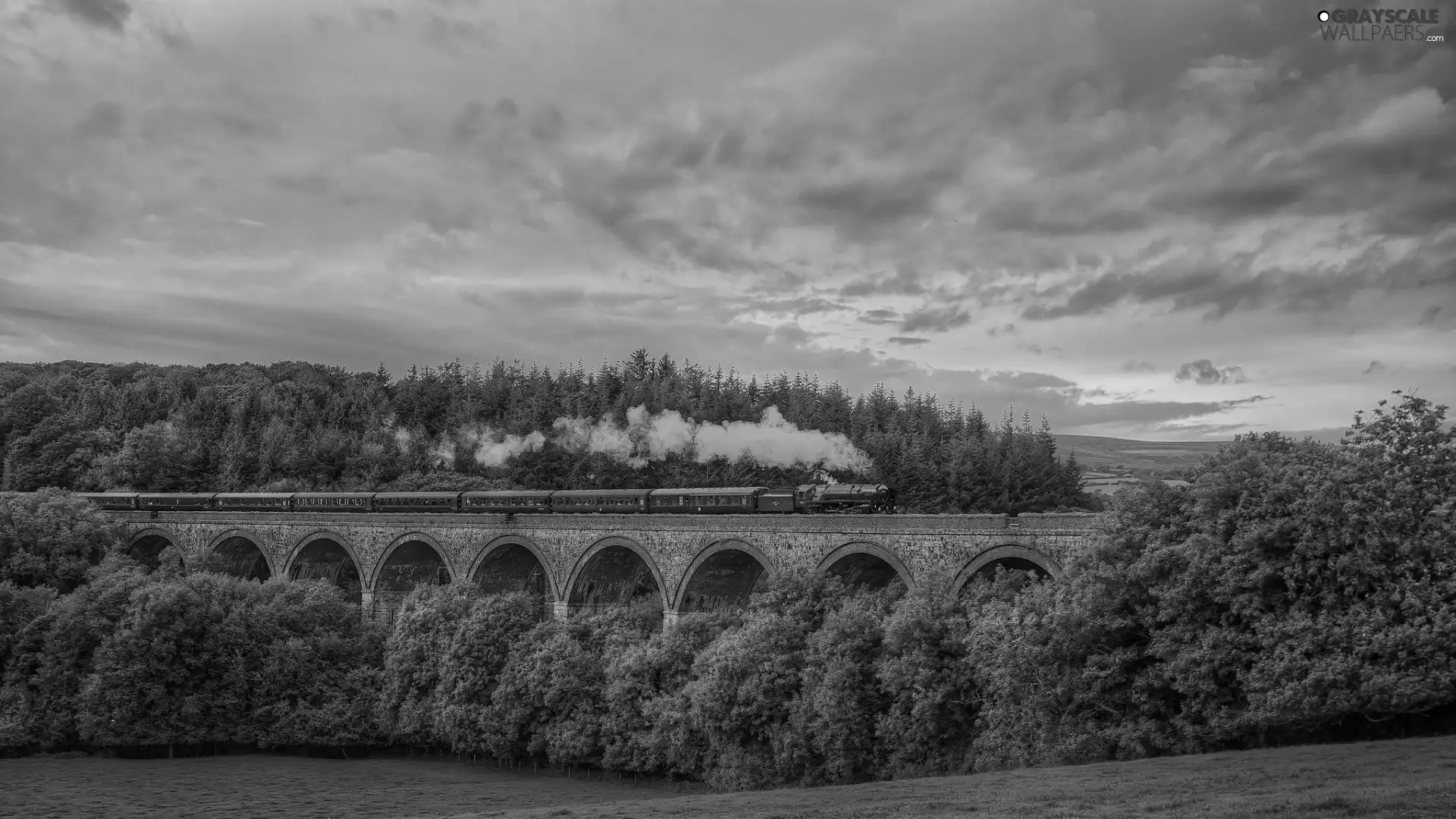 Sky, Train, trees, Clouds, bridge, forest, viewes