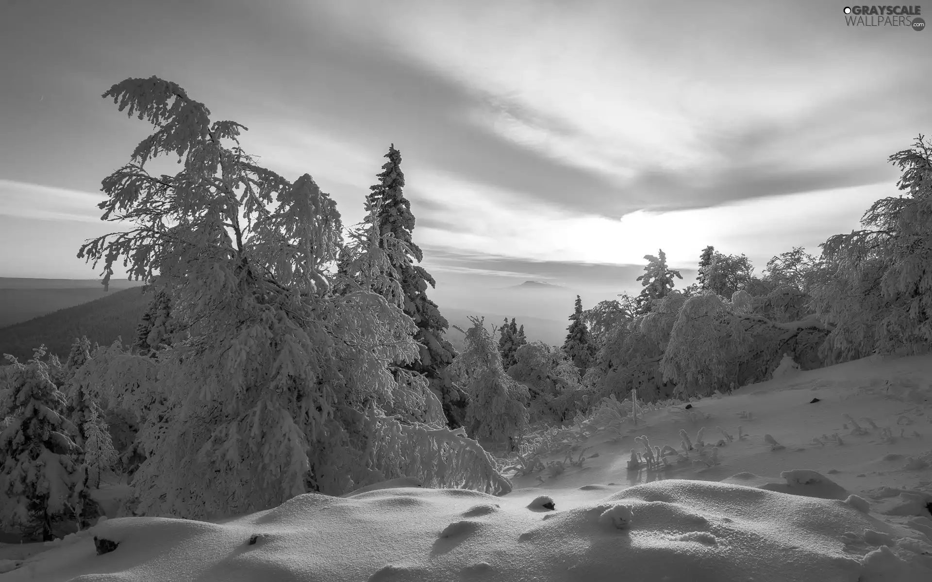Snowy, Mountains, viewes, forest, winter, trees, Sunrise