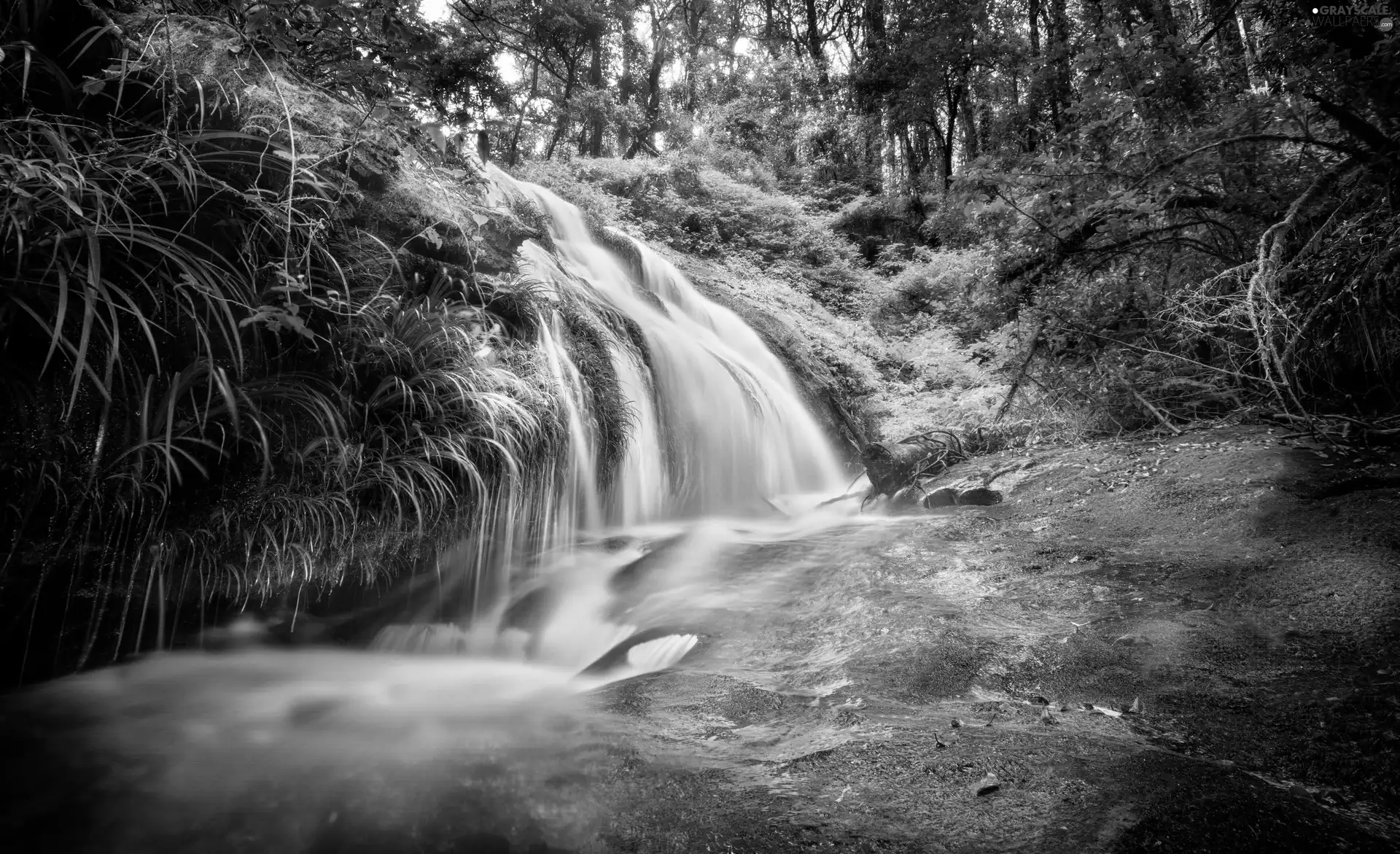 waterfall, forest