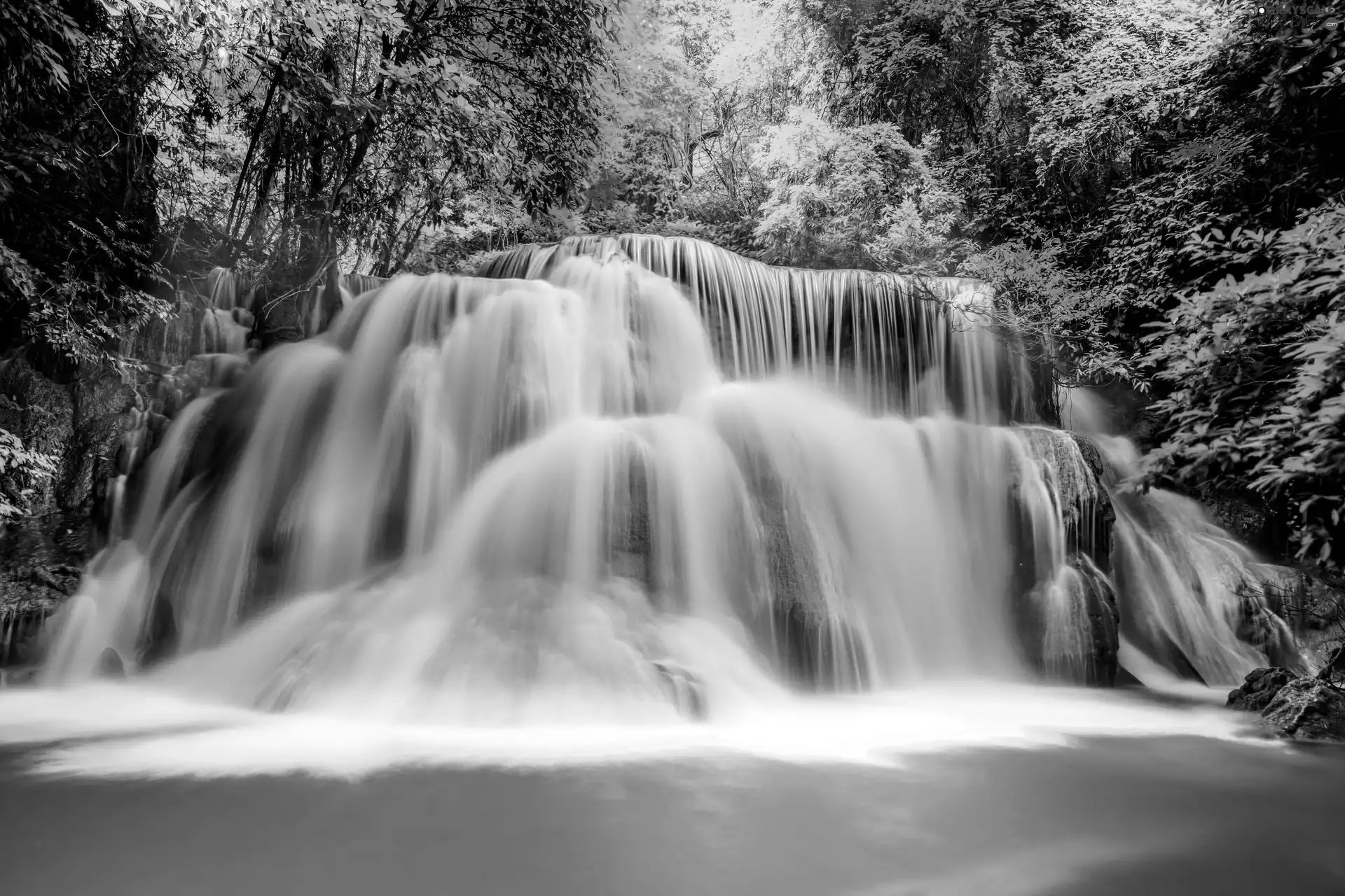 waterfall, forest