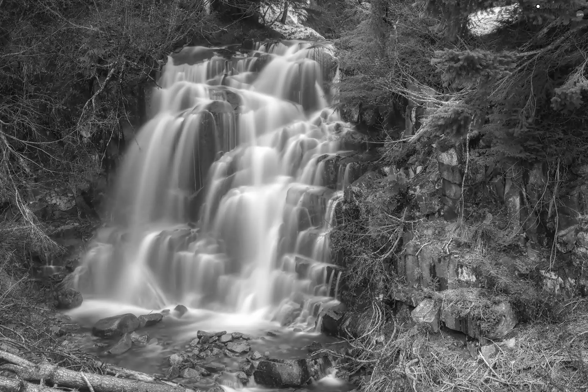 waterfall, forest