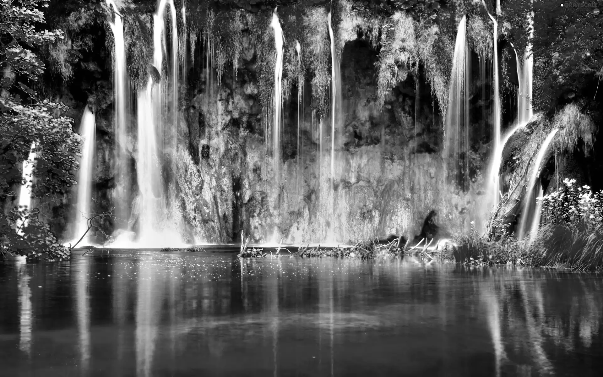 forest, autumn, waterfall