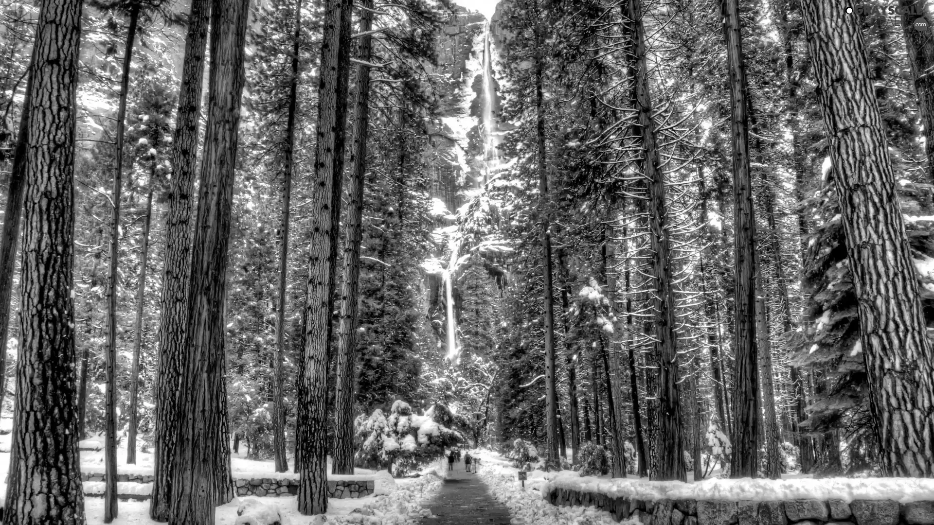 forest, winter, waterfall