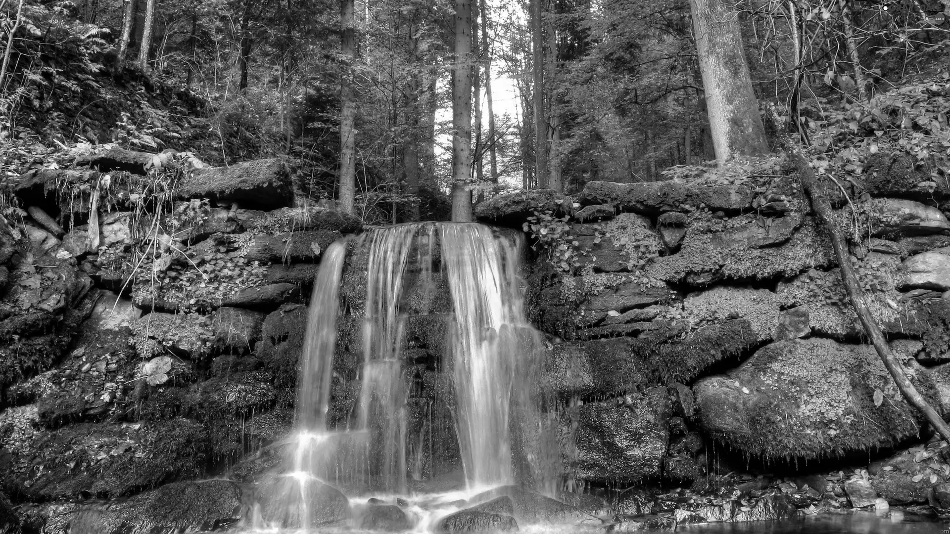 waterfall, forest