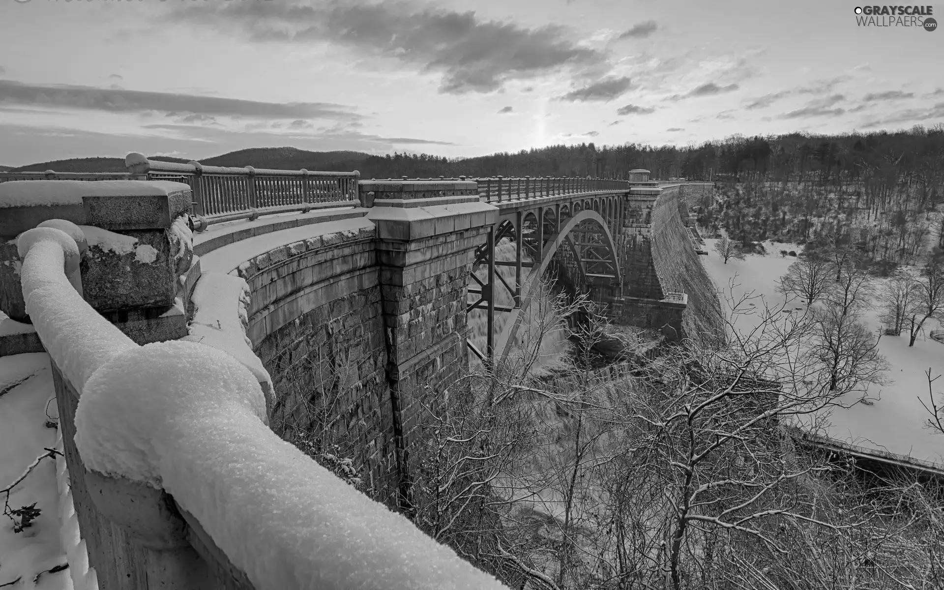 winter, bridge, forest, large