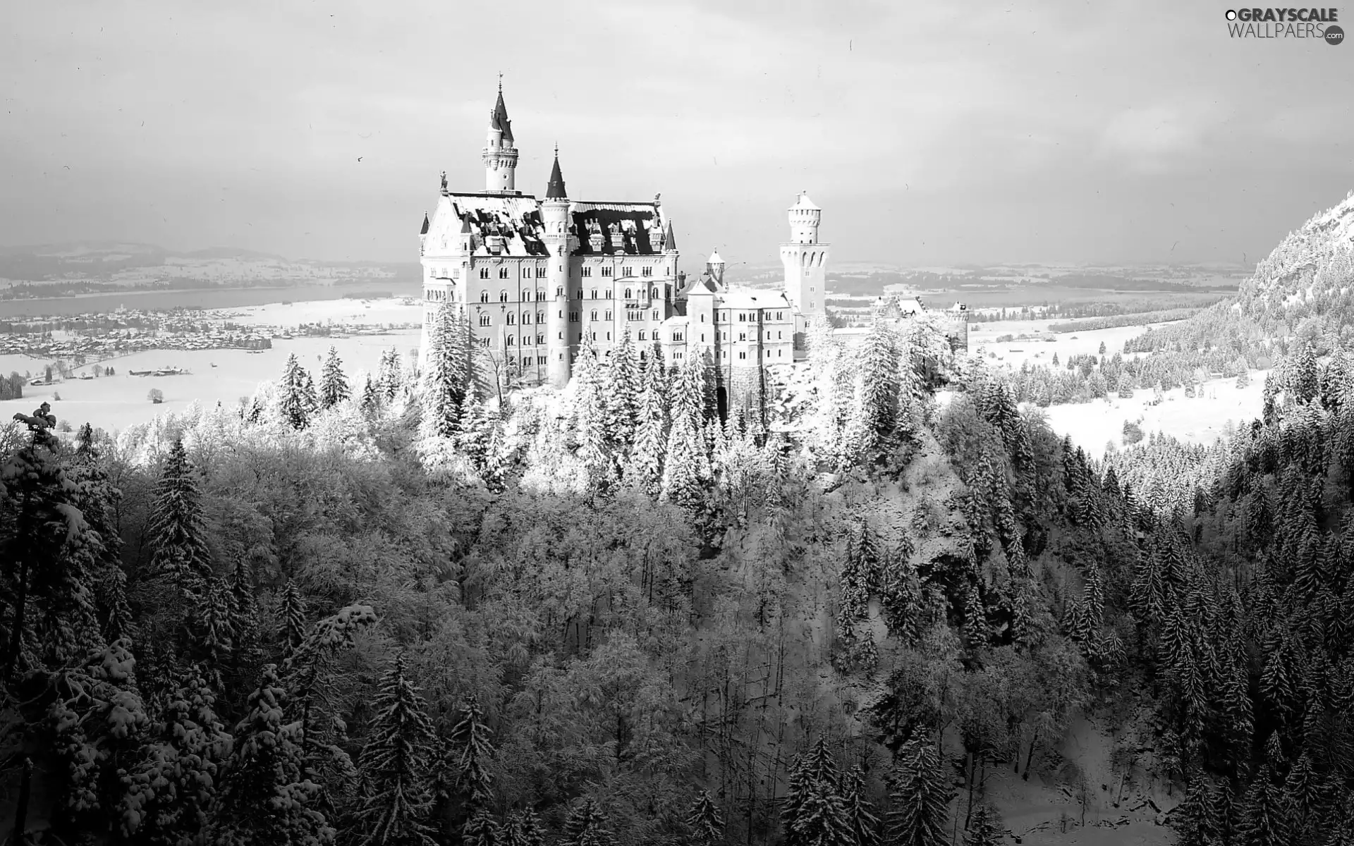 forest, Castle, winter