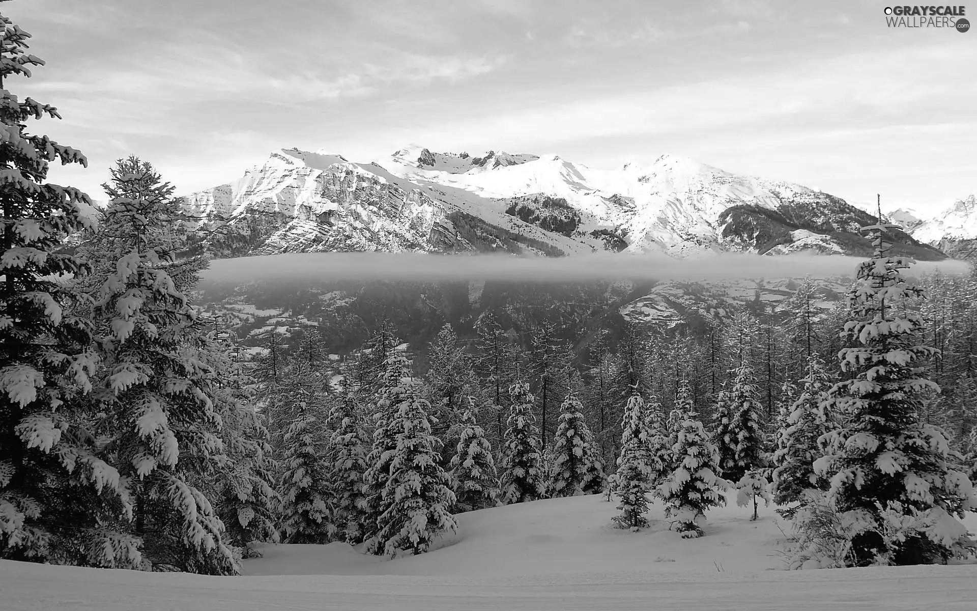 winter, Fog, forest, Mountains