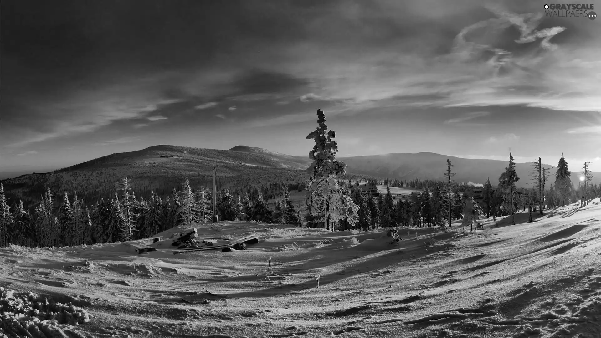 forest, Mountains, winter