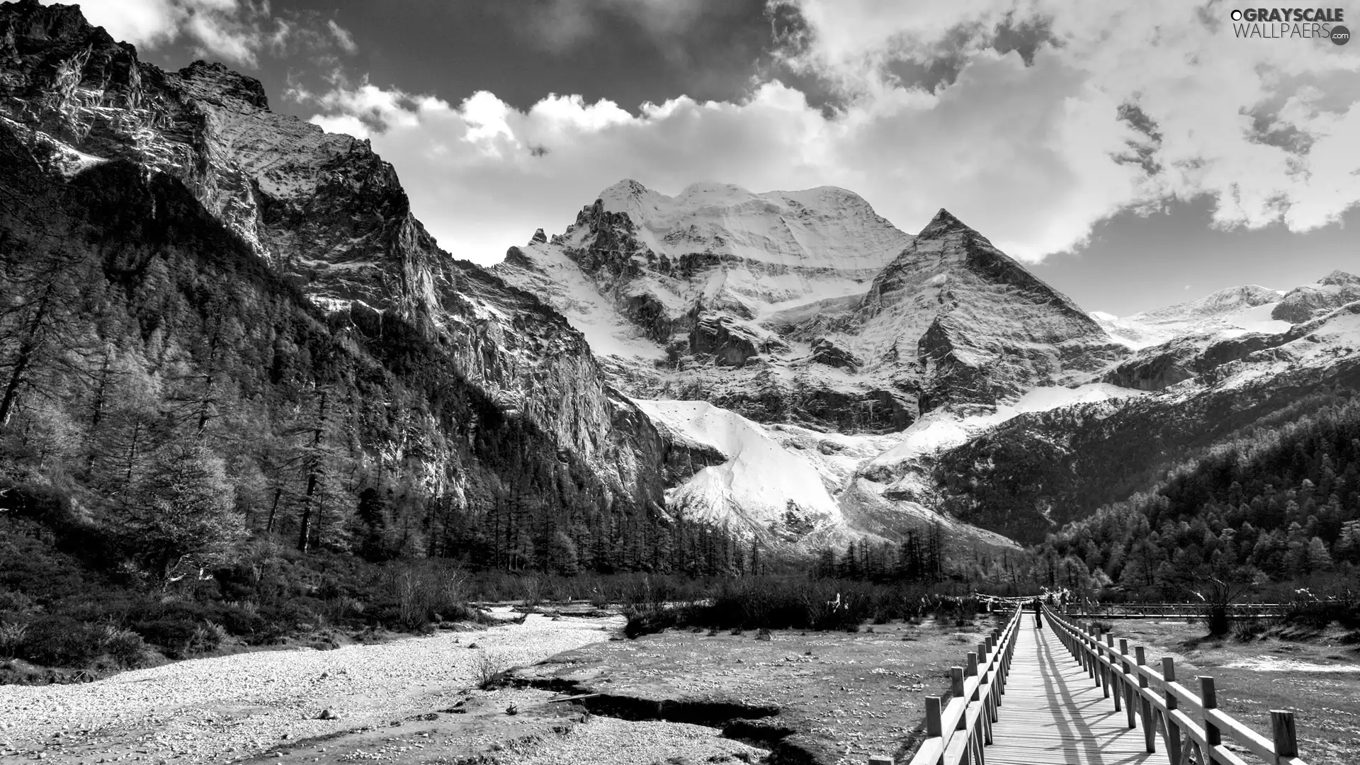 winter, Mountains, forest, Path