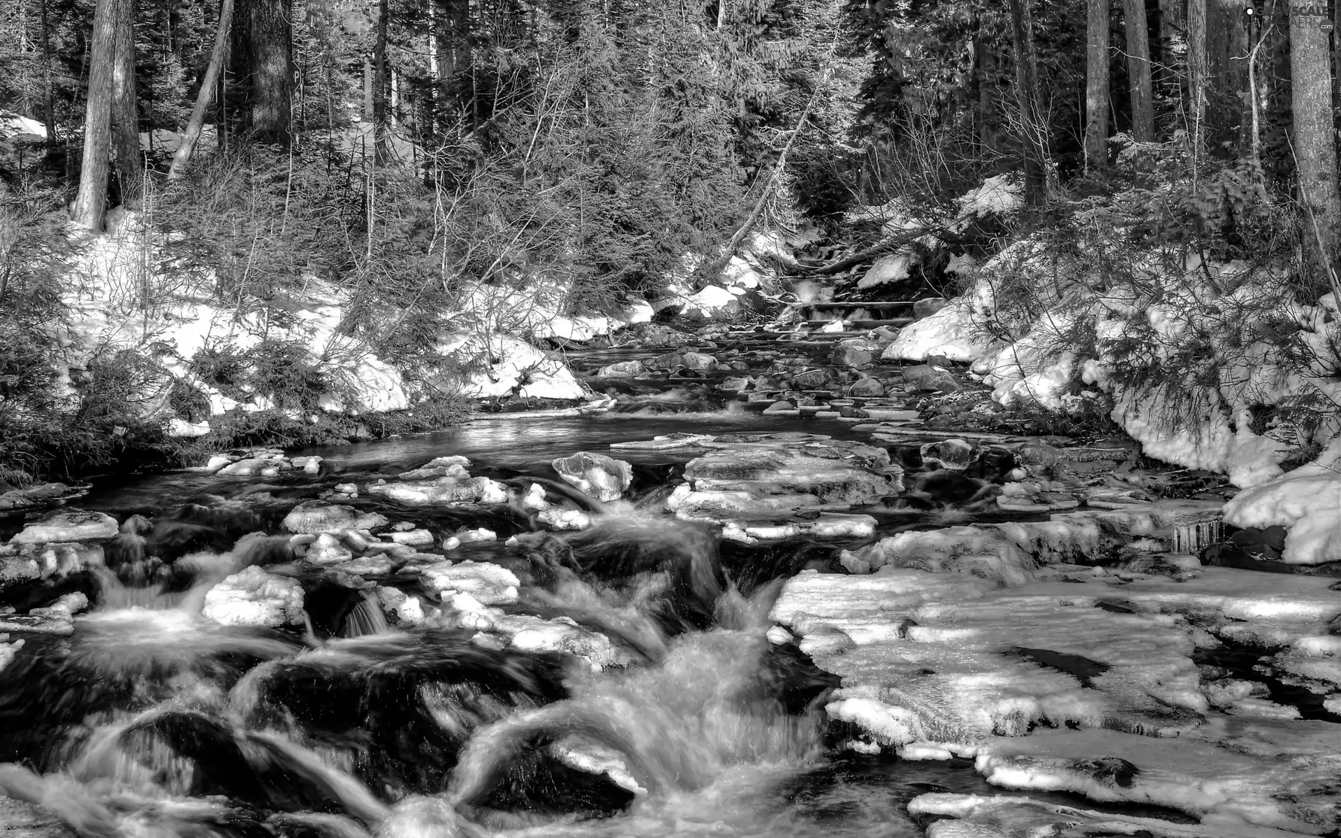 rocks, stream, forest, winter, Stones, mountainous