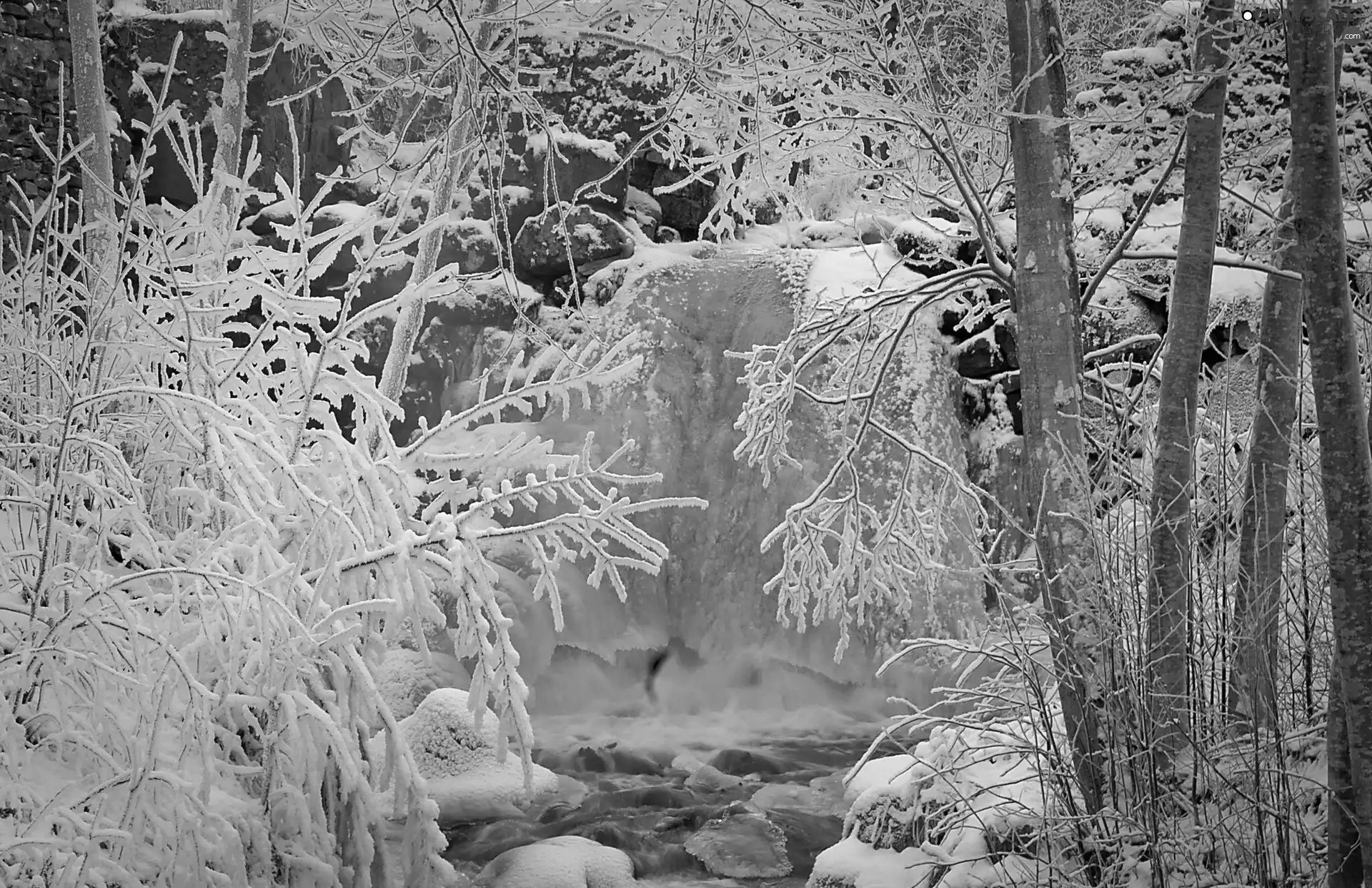 trees, waterfall, forest, winter, viewes, Stones