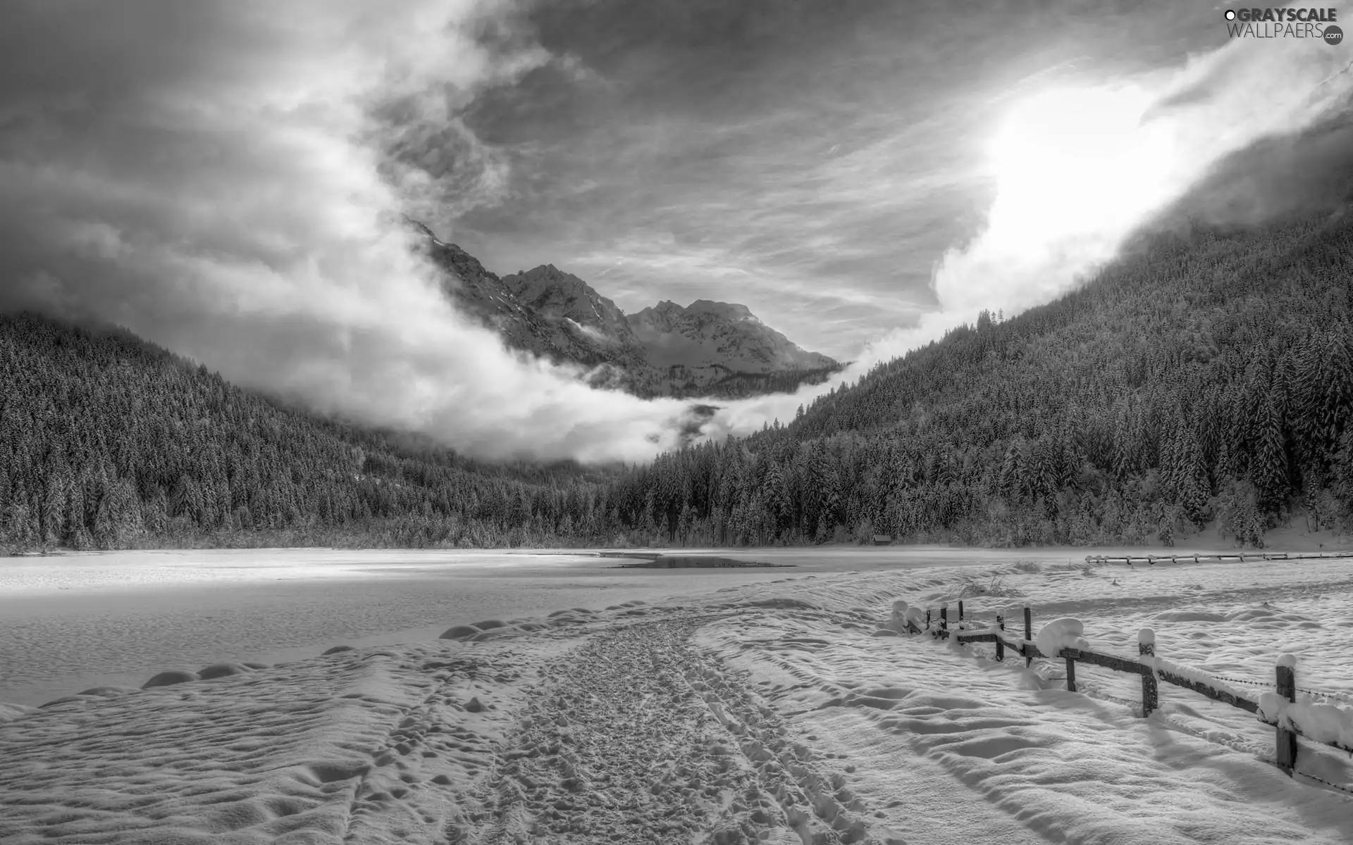 forest, winter, sun, Mountains, west