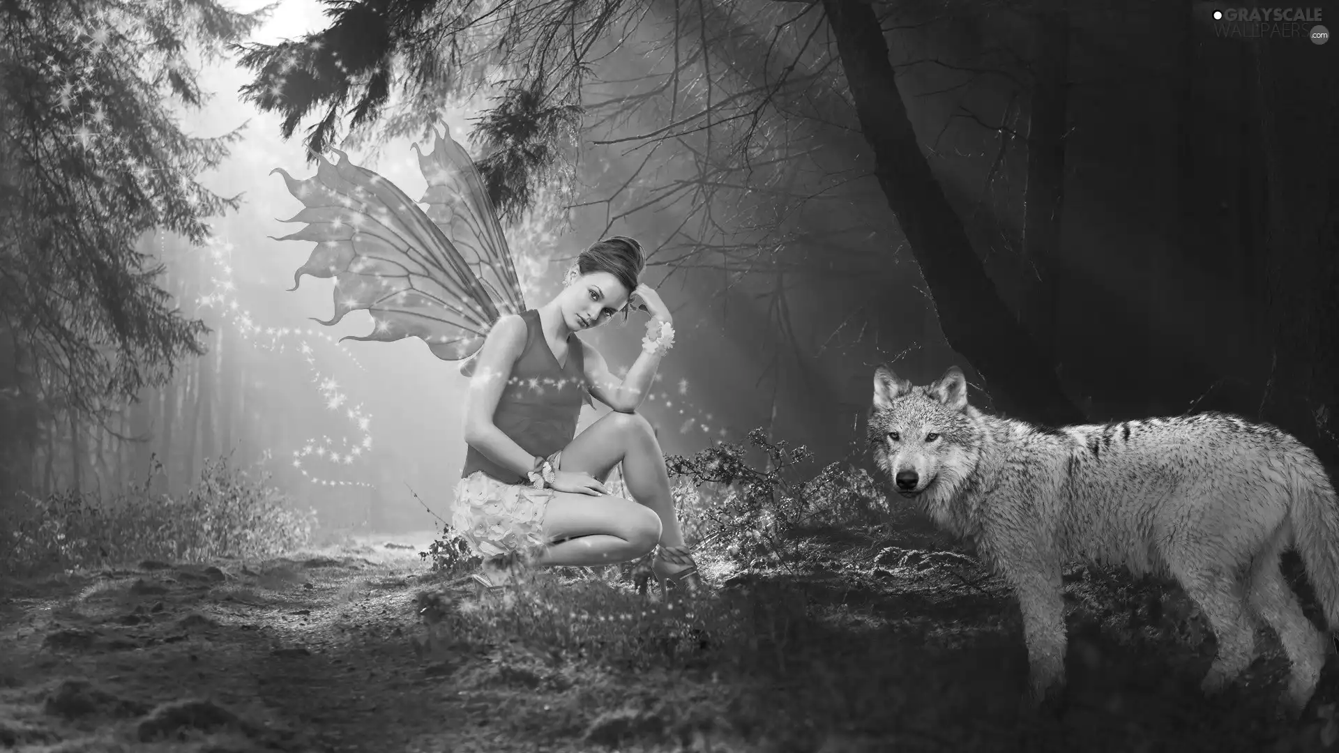 Women, Wolf, forest, angel