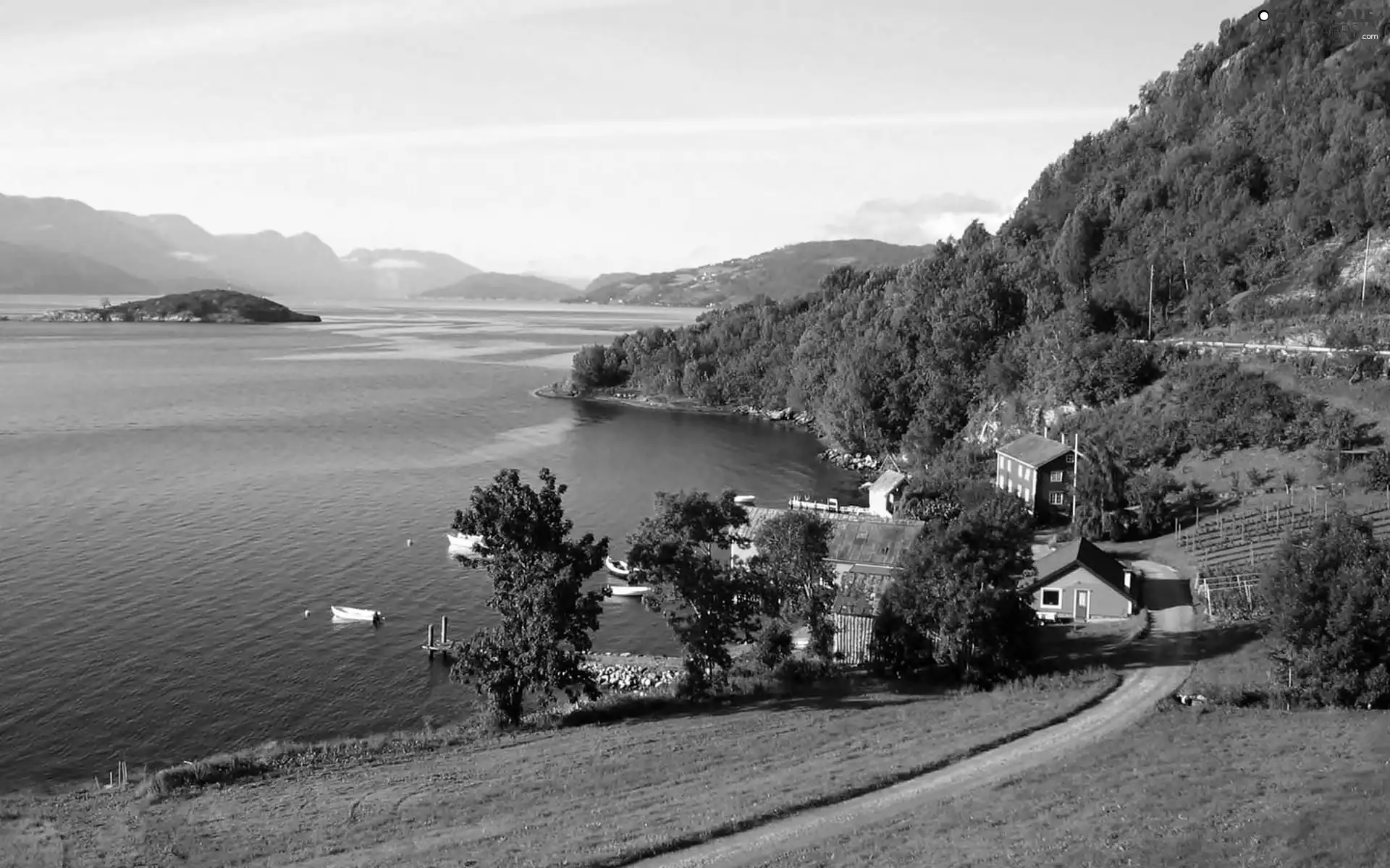 forested, The Hills, Houses, Way, Hardangerfjord