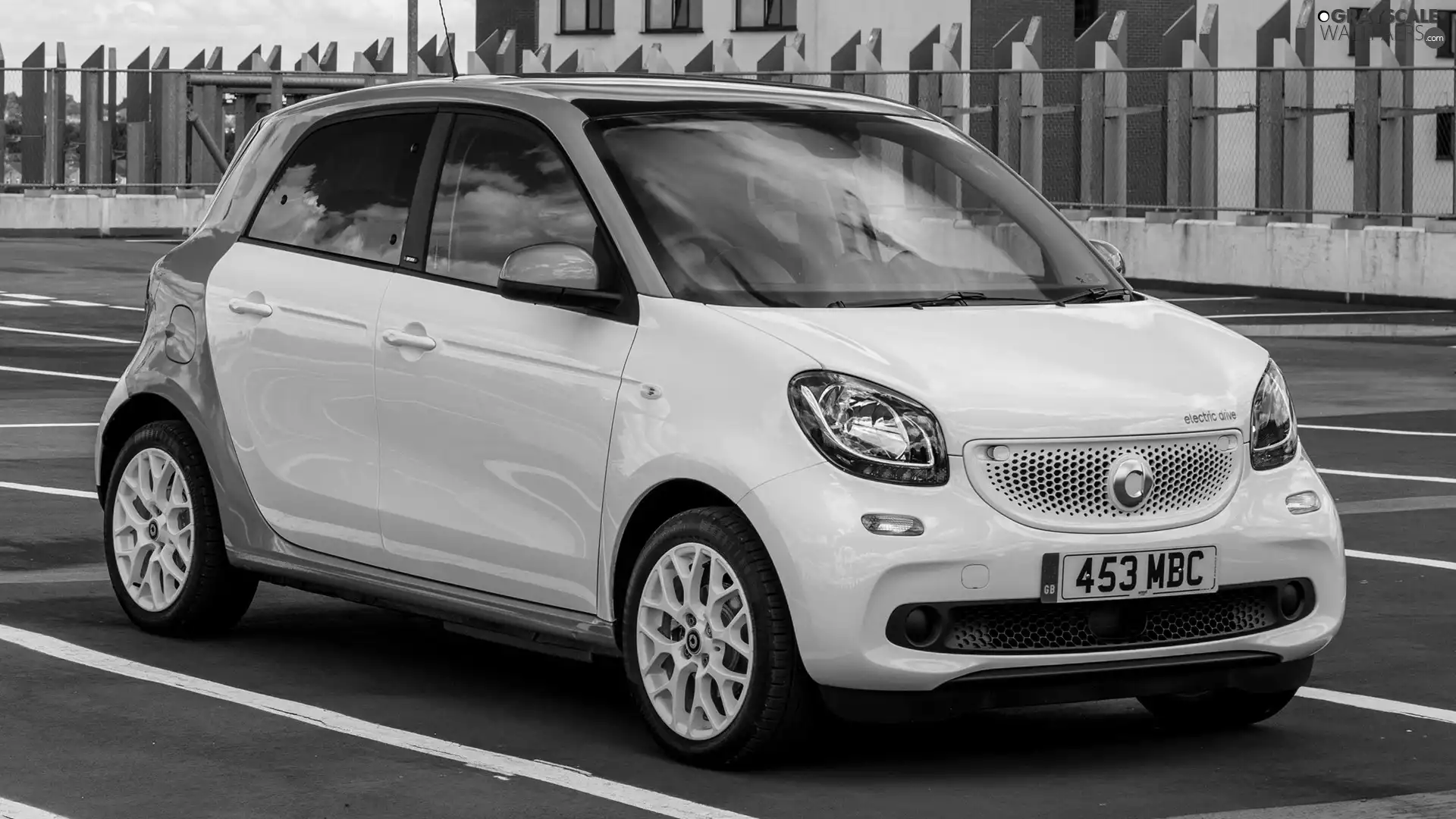 White-green, Smart Forfour