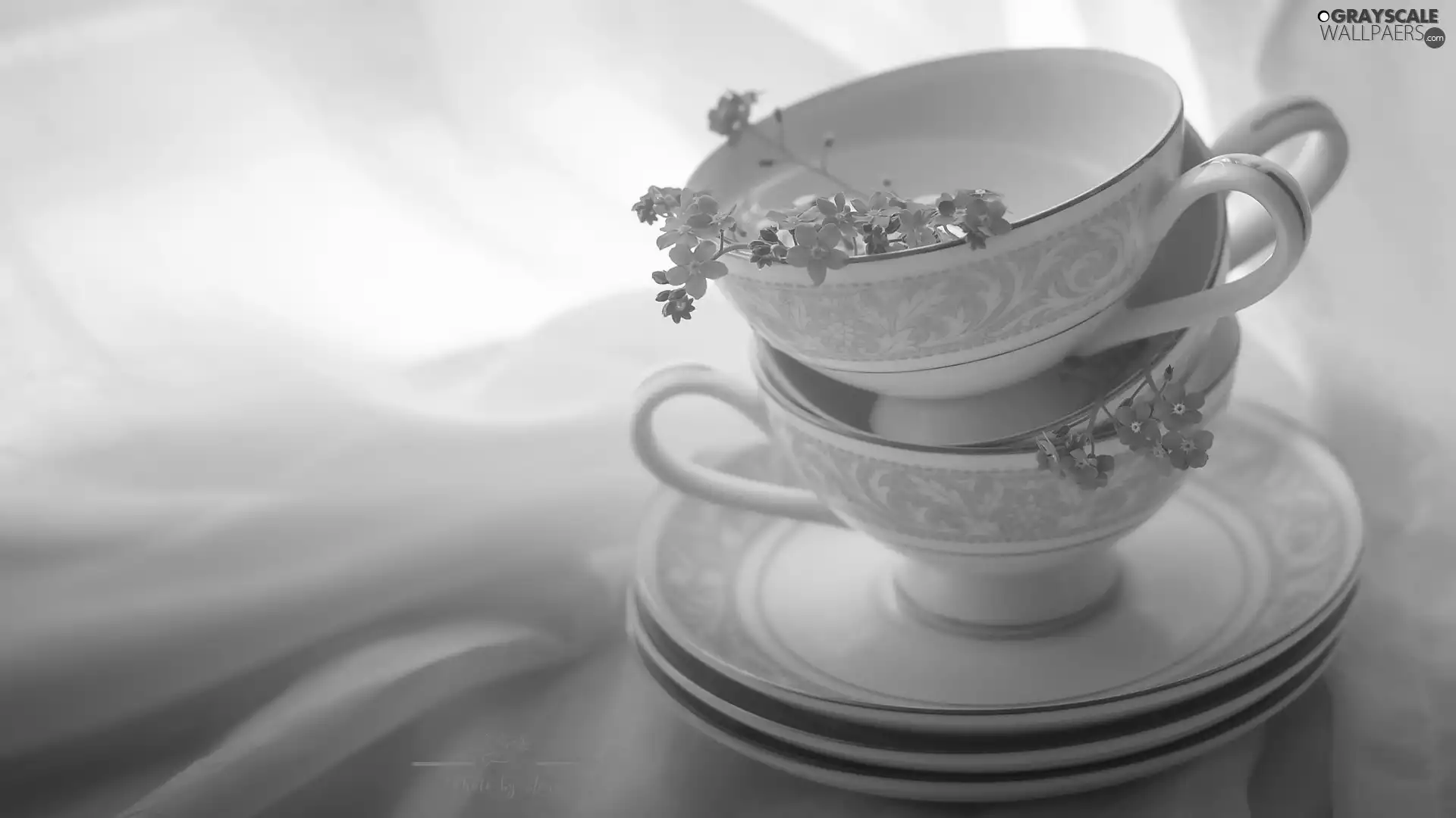 Flowers, Forget, cups, stands, Two