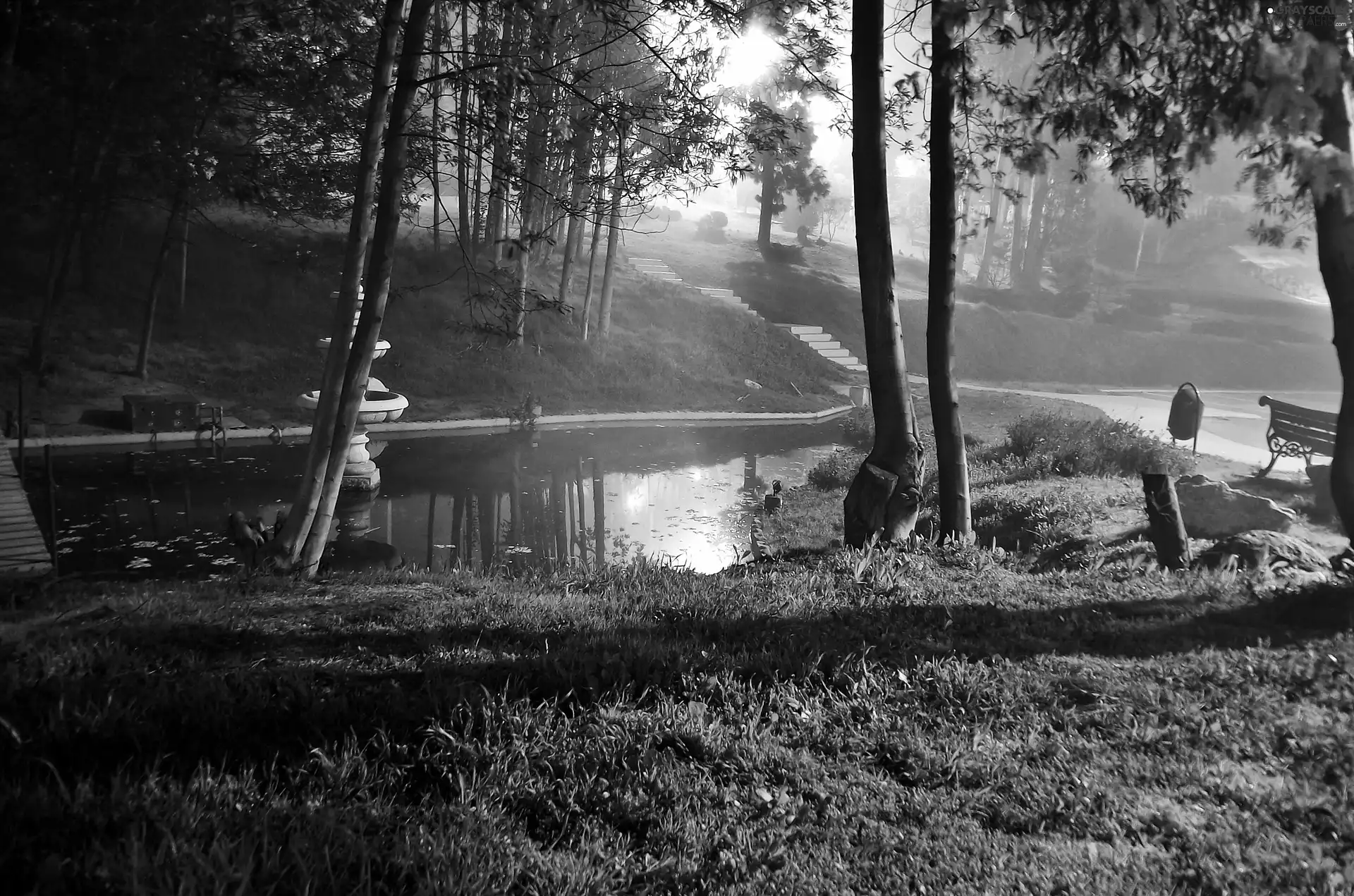 fountain, Przebijające, luminosity, ligh, flash, Pond - car, Park, sun