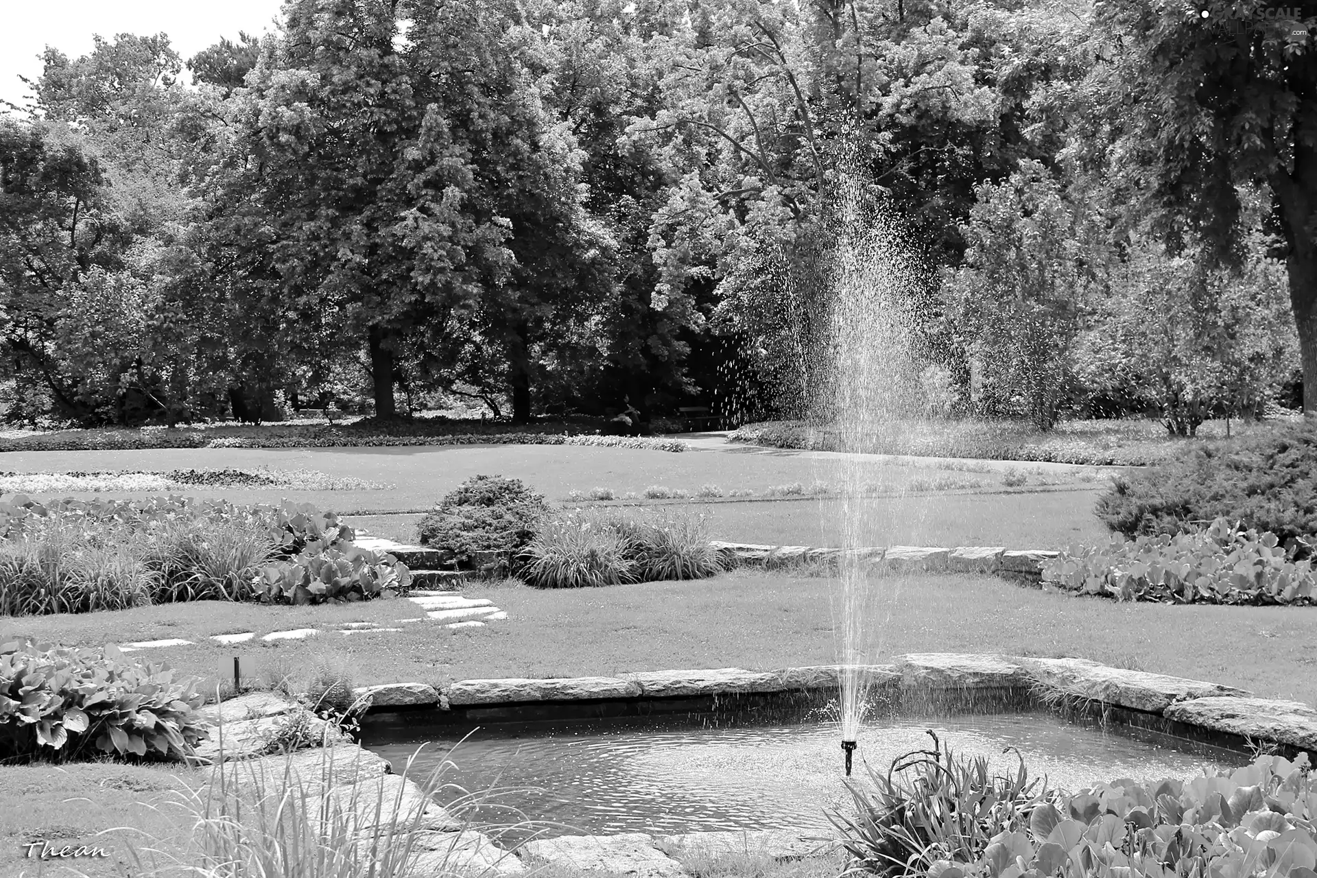 Garden, Poznań, fountain, botanical