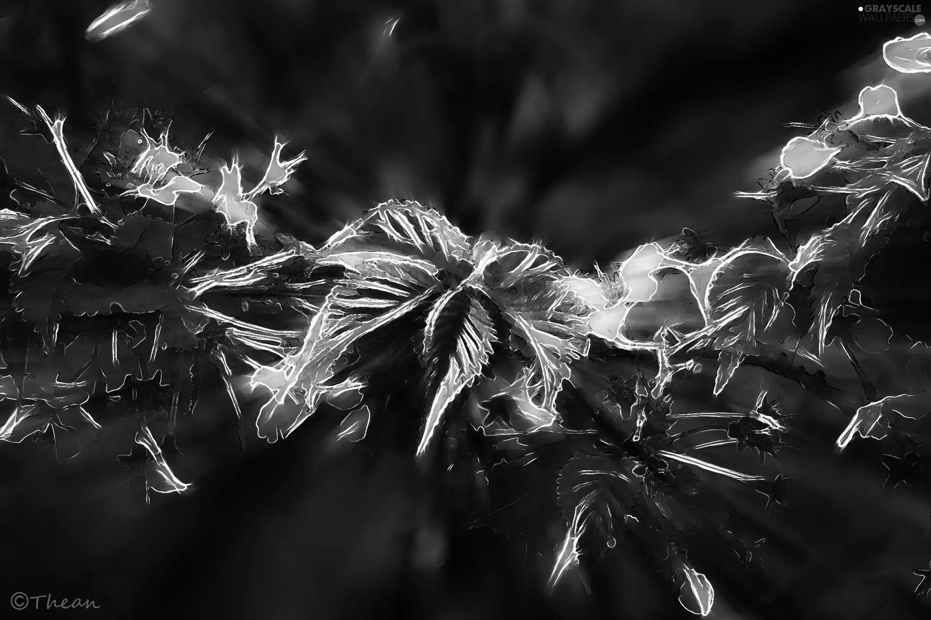 Fractalius, graphics, Computer