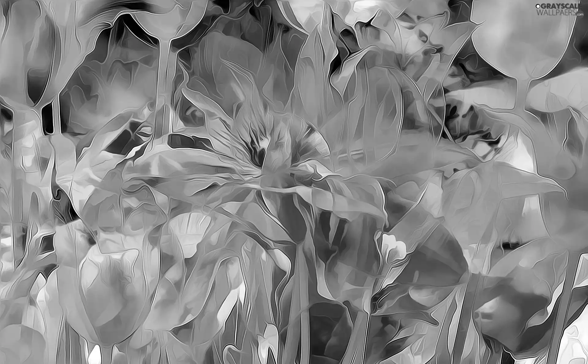 Fractalius, color, Flowers