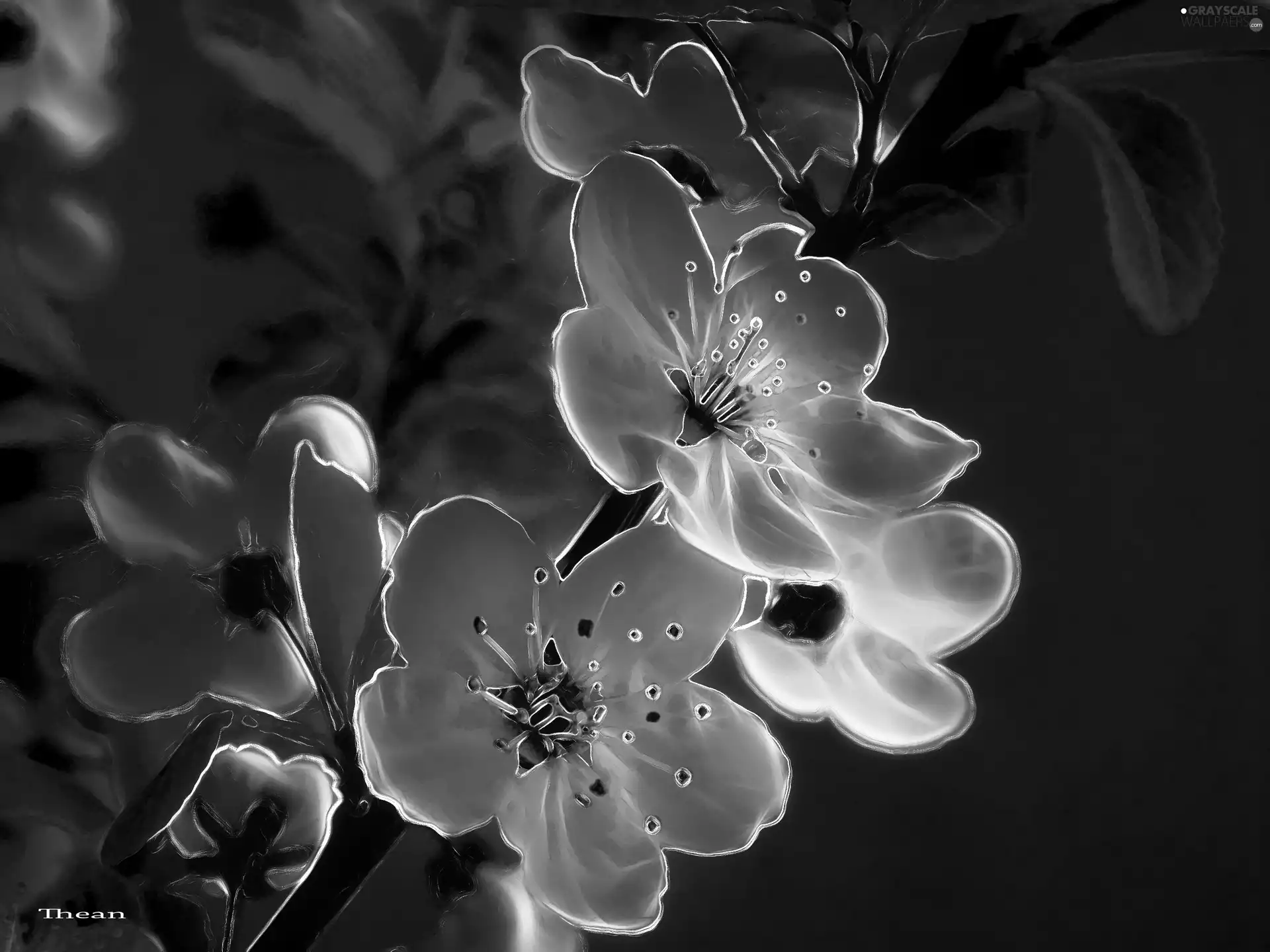 Fractalius, Spring, Flowers