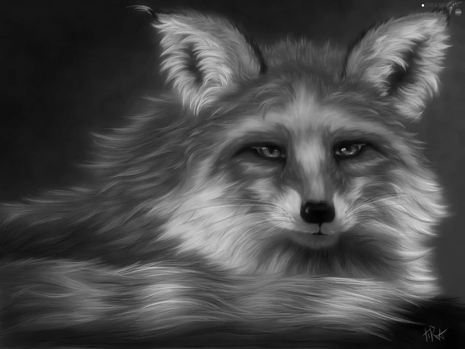 fox, Fractalius