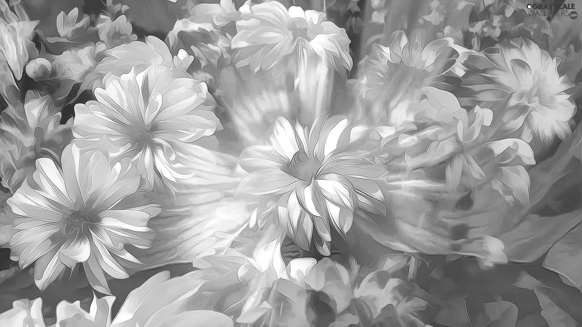 Fractalius, Flowers, graphics