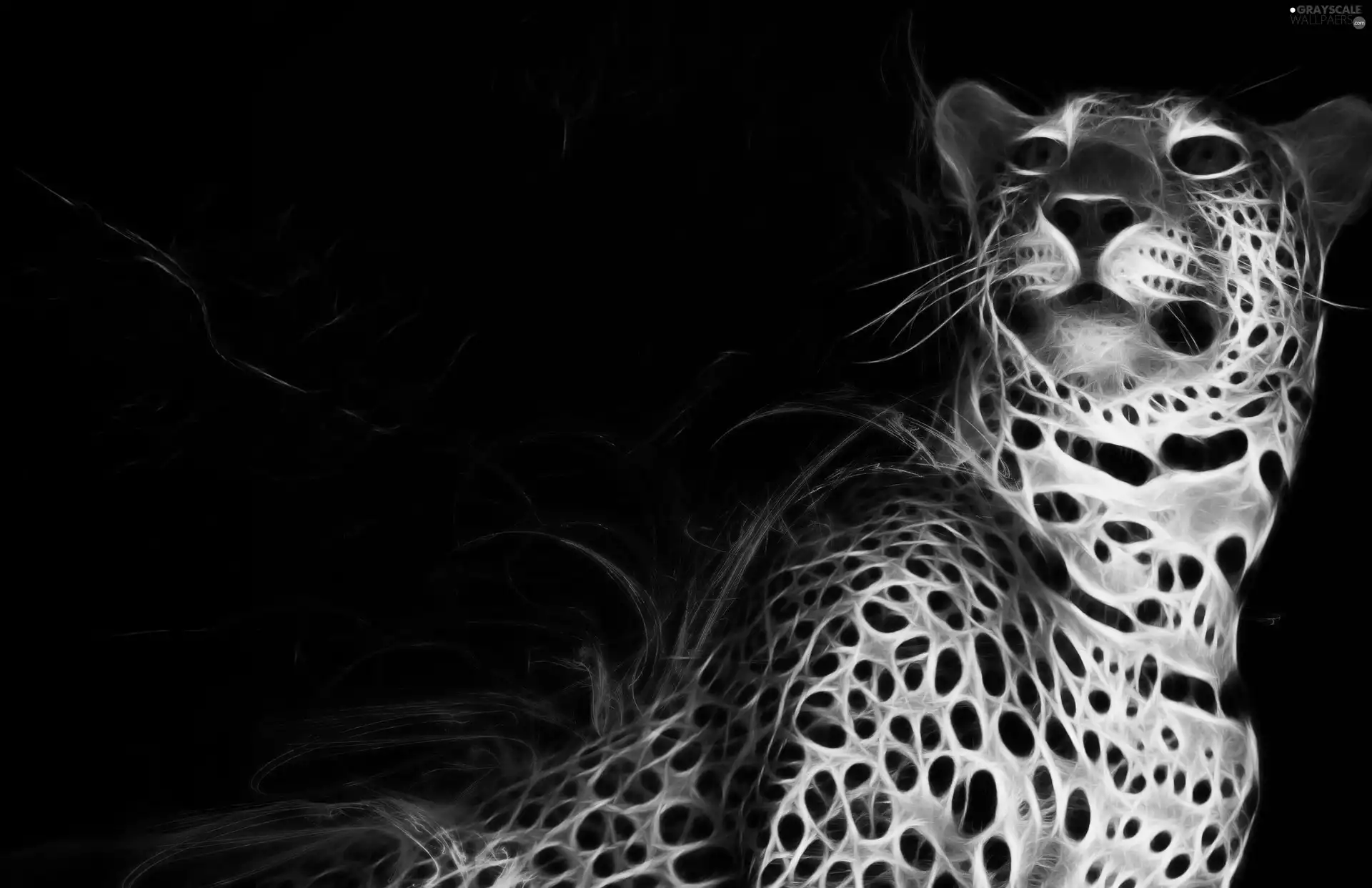 Leopards, Fractalius